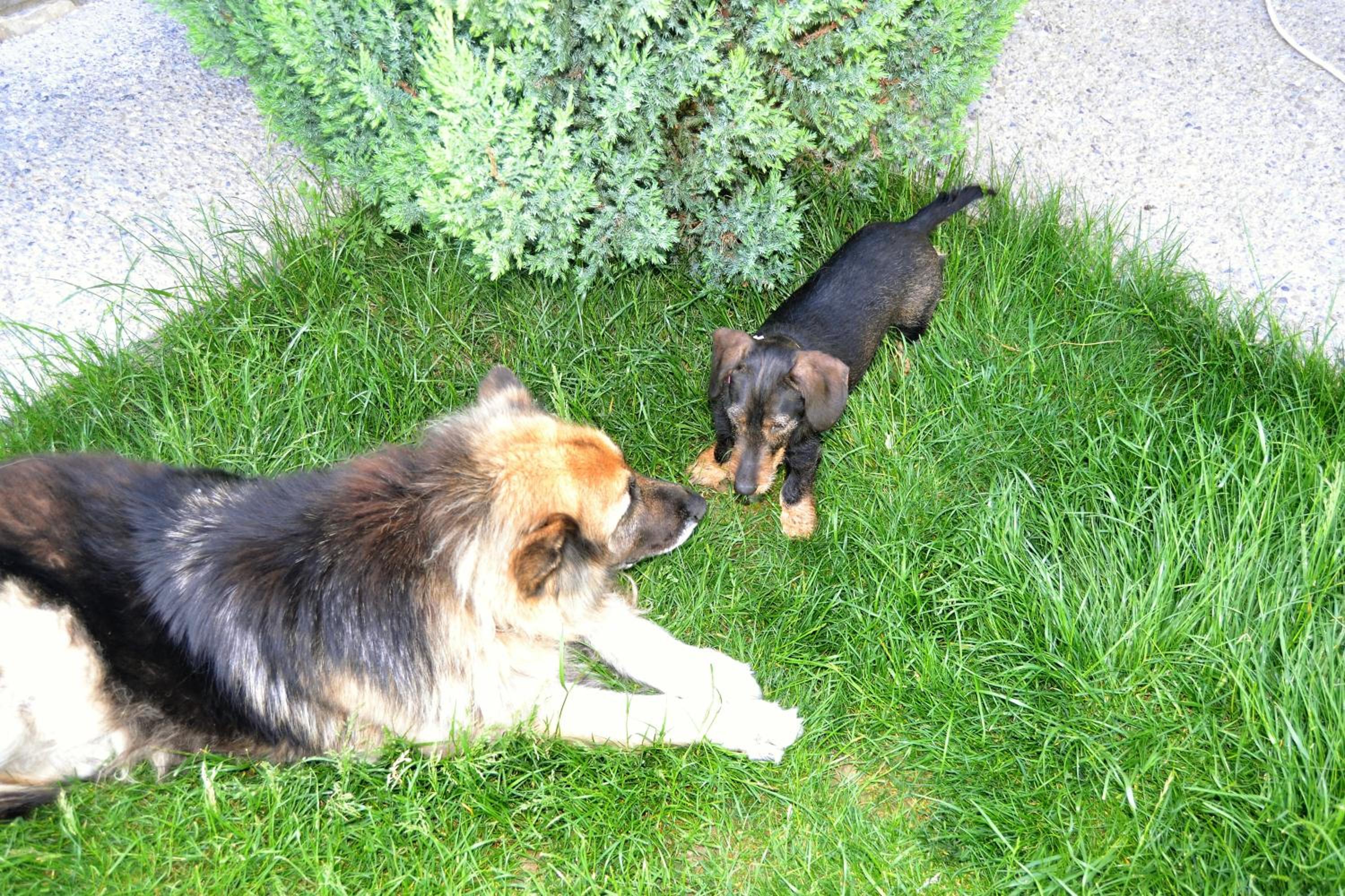 Photo 15