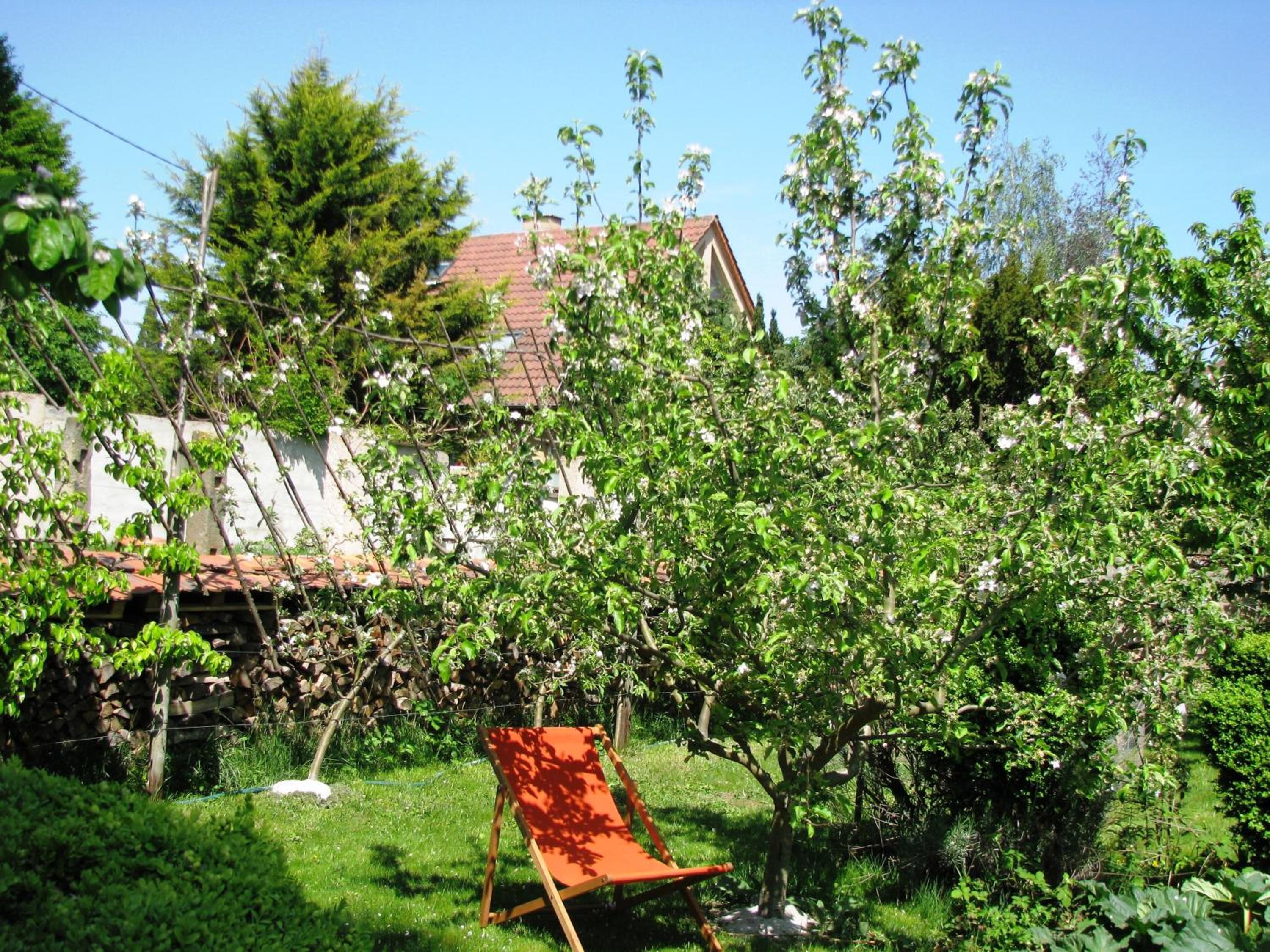 Photo 27