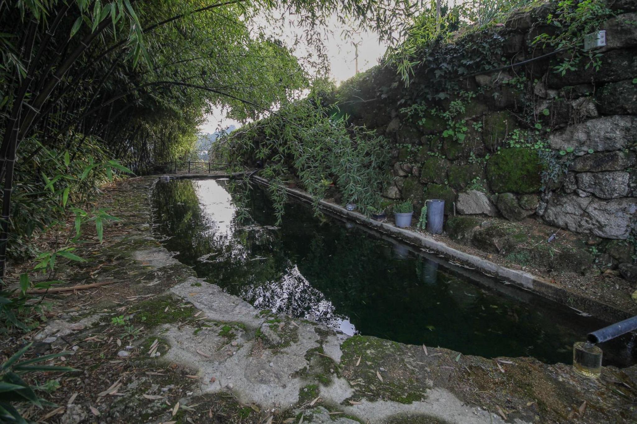 Bosque da Fantasia