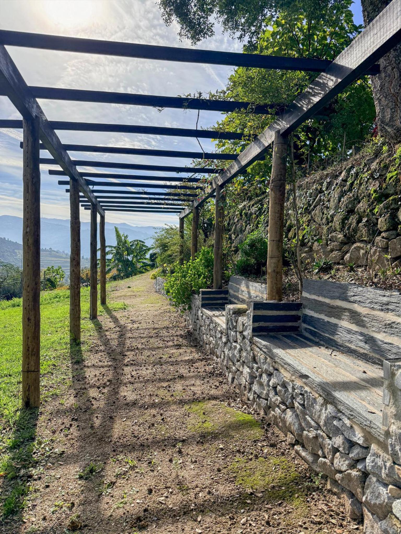 Bosque da Fantasia