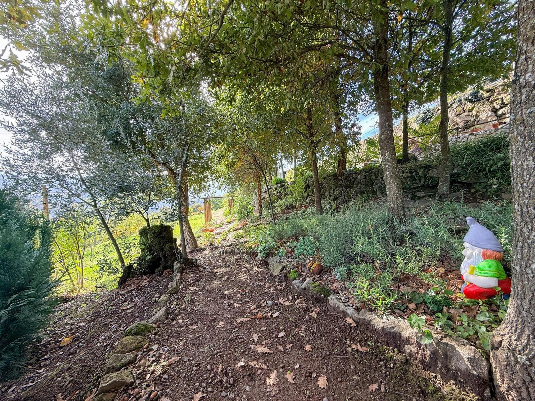 Bosque da Fantasia