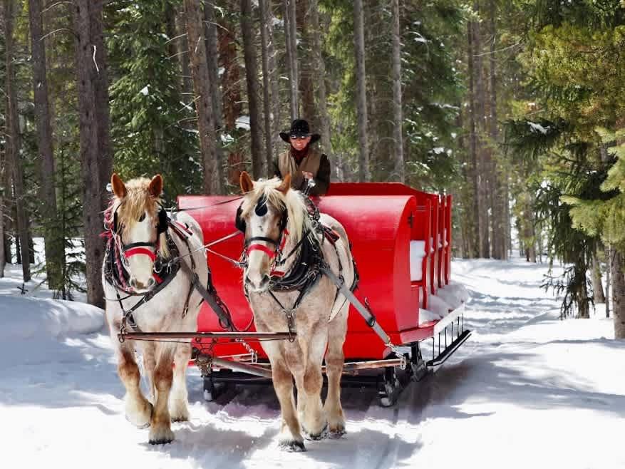 Luxury Mountain Winter Getaway w Picturesque Views