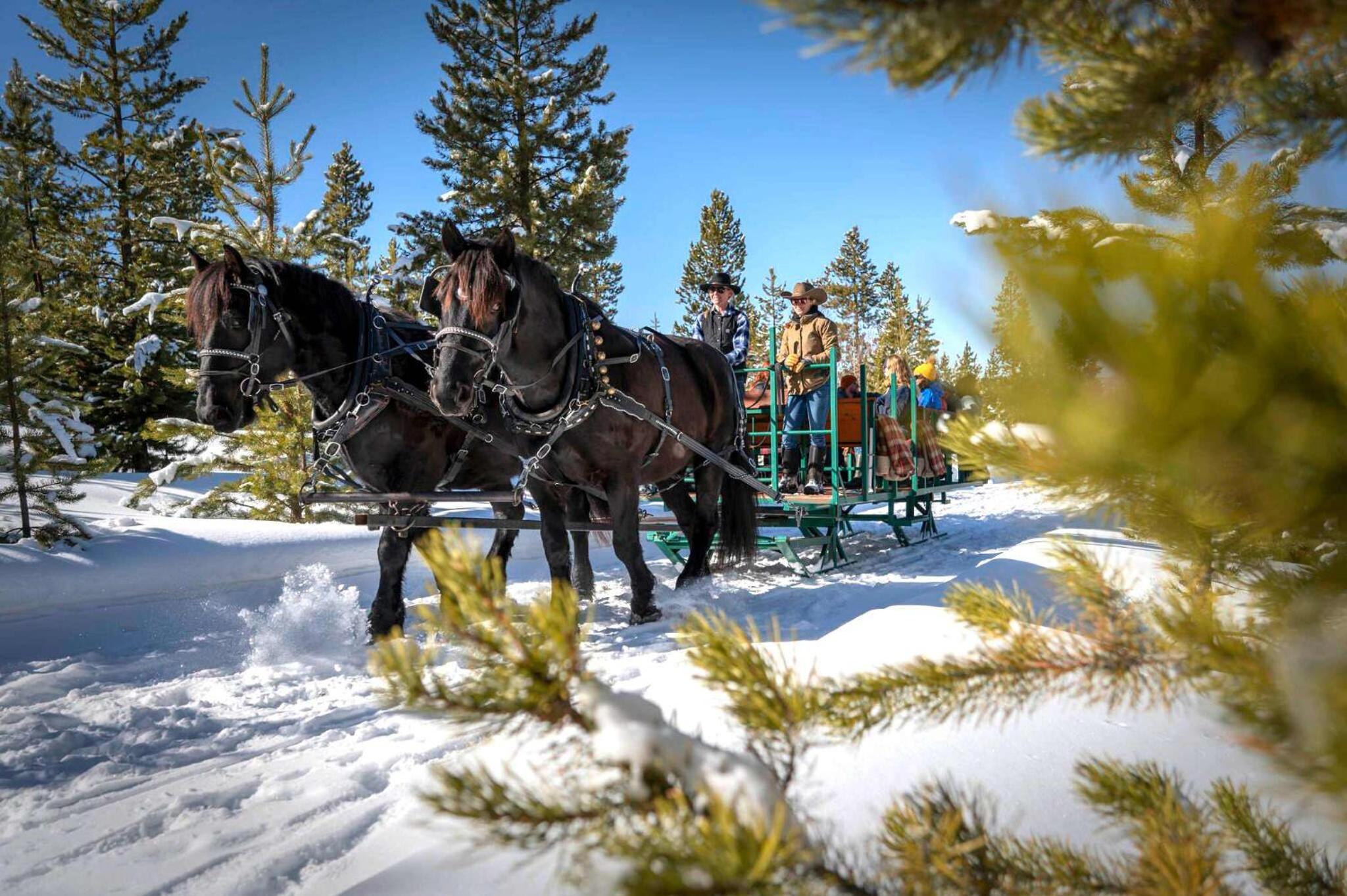 Luxury Mountain Winter Getaway w Picturesque Views