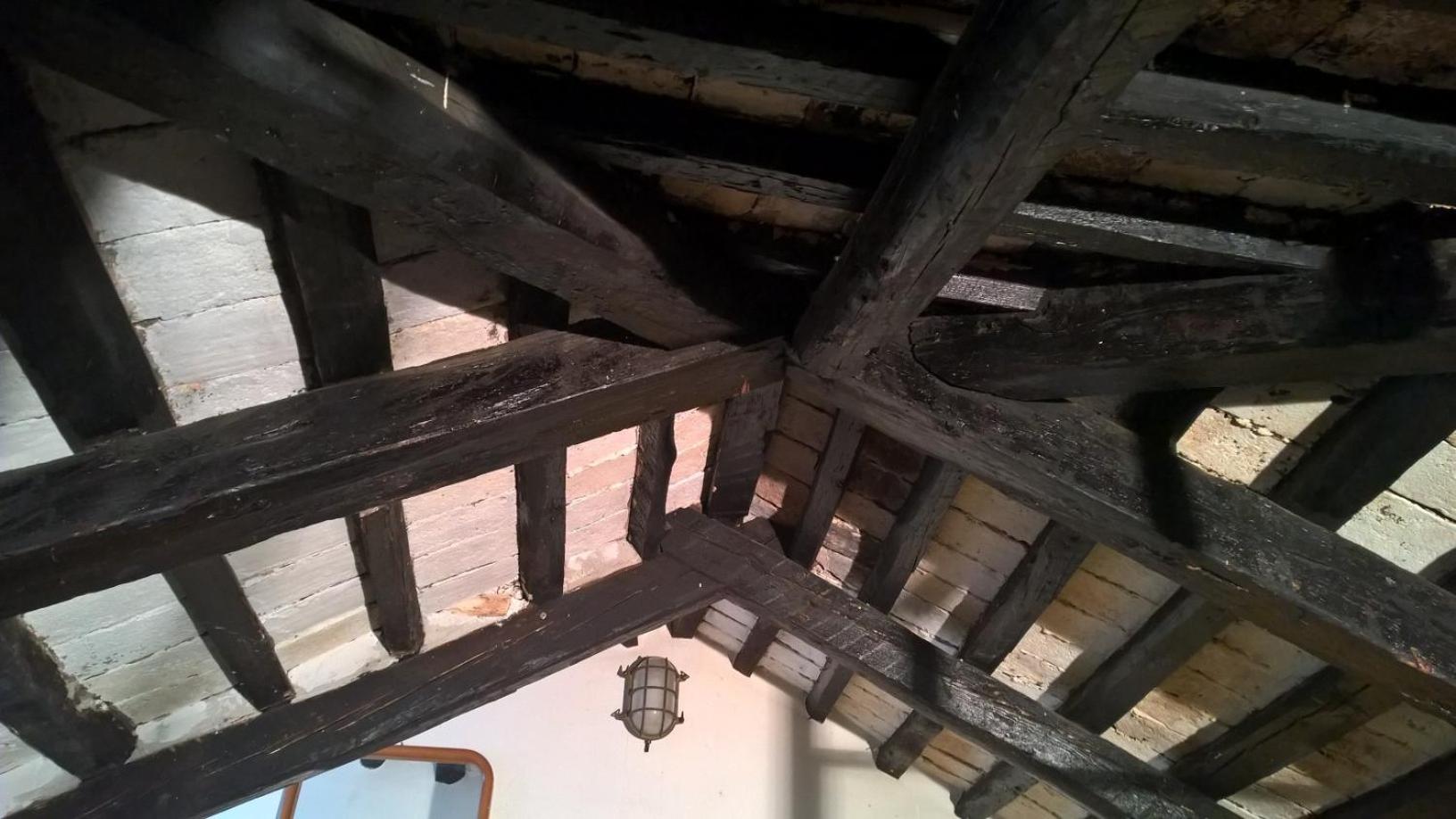 DoMarie
