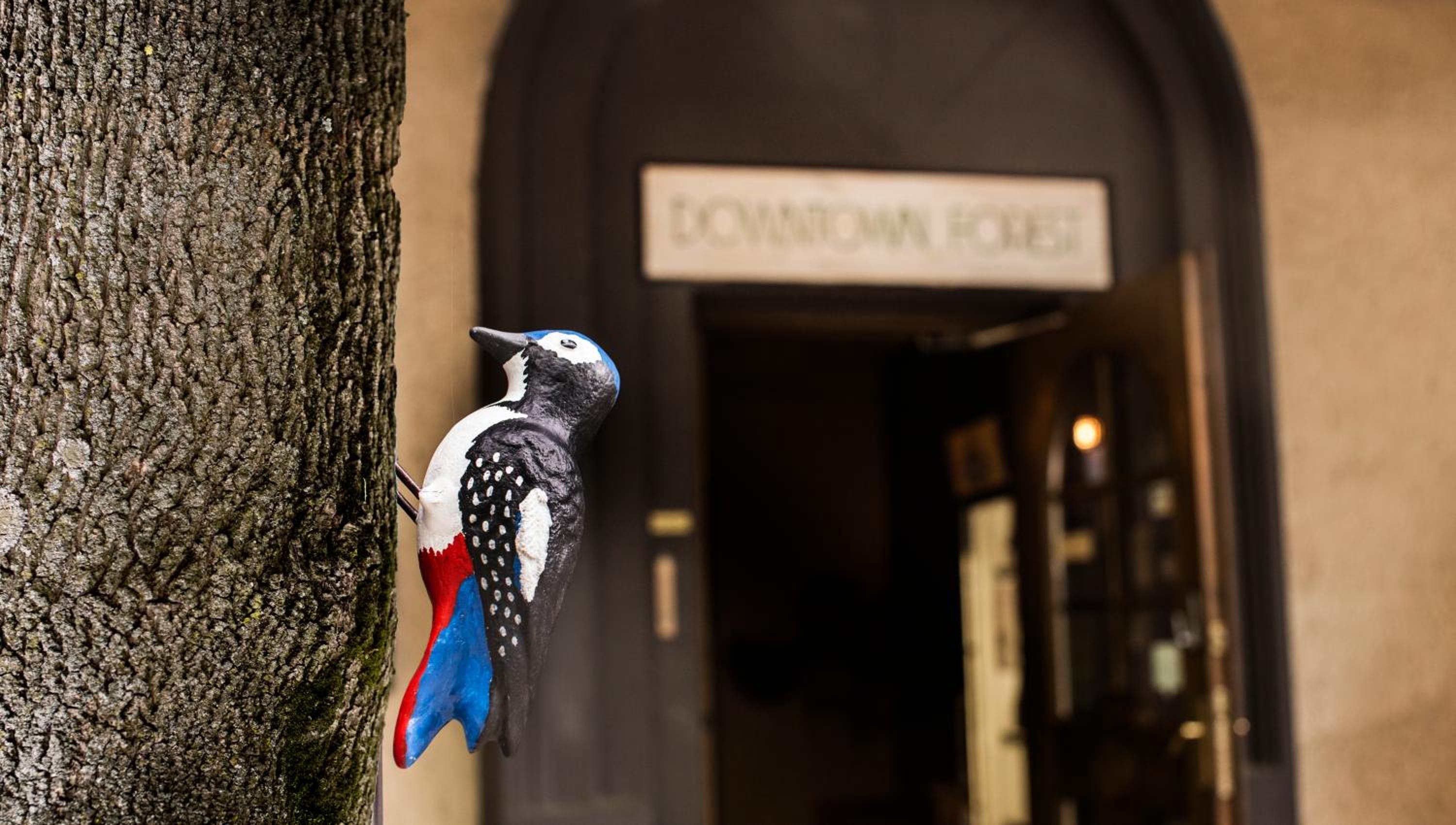 Downtown Forest Hostel & Camping