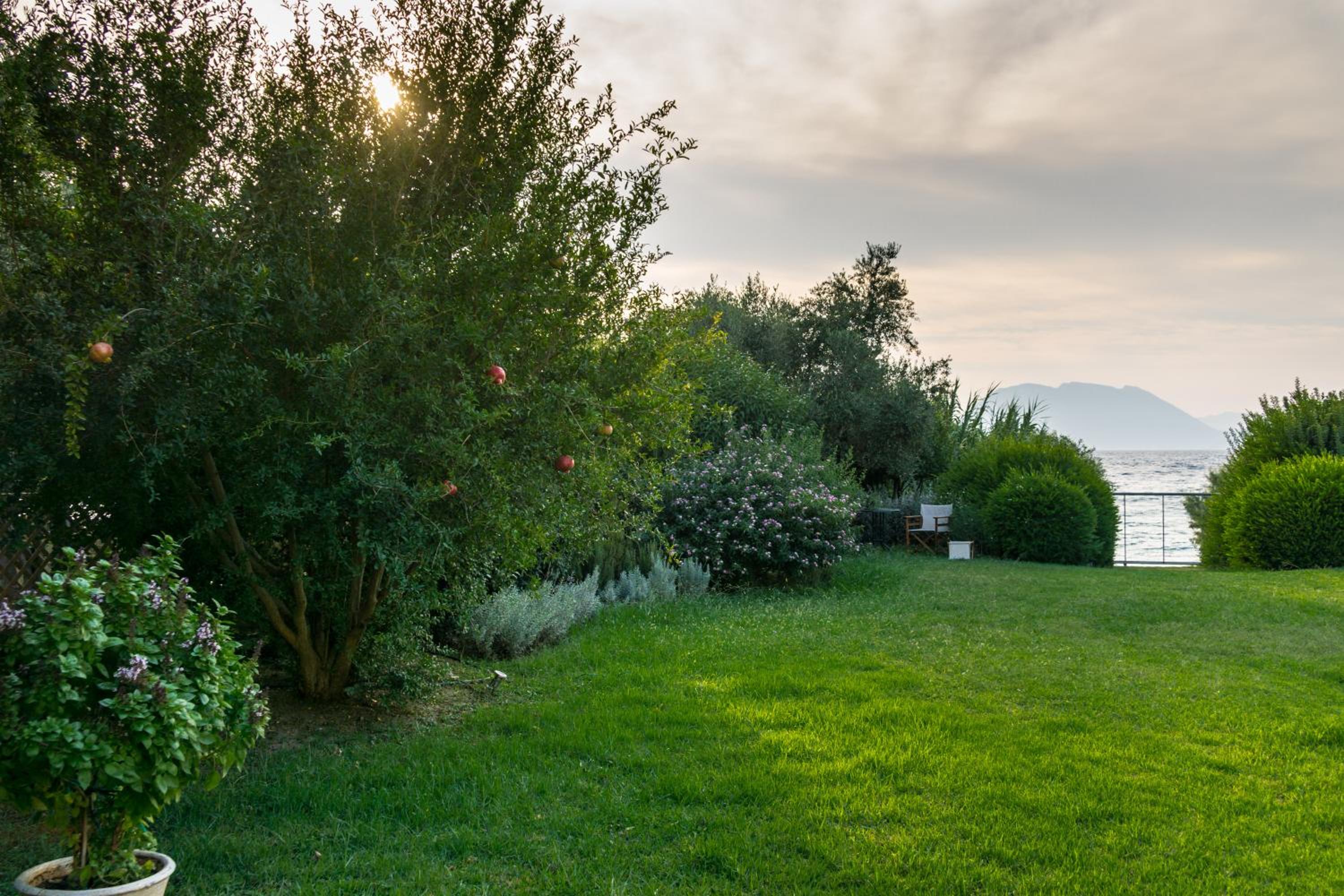 Photo 45