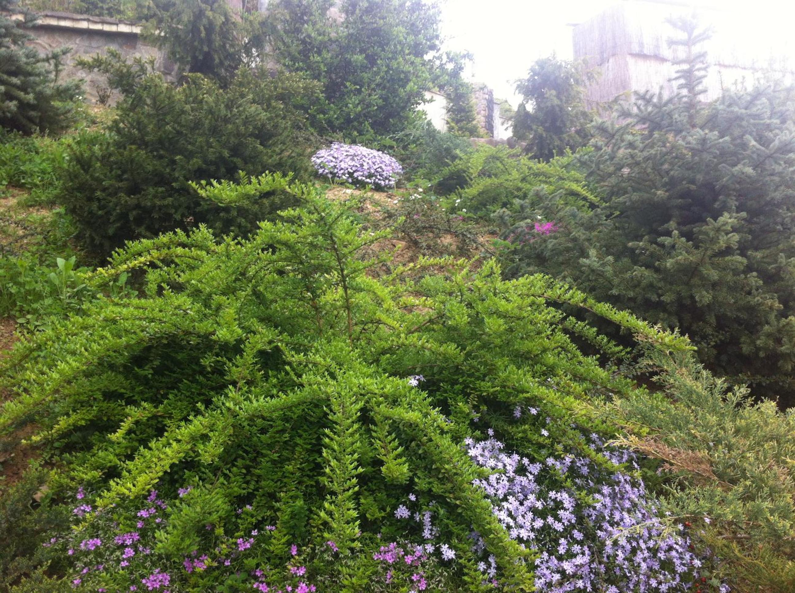 Photo 18