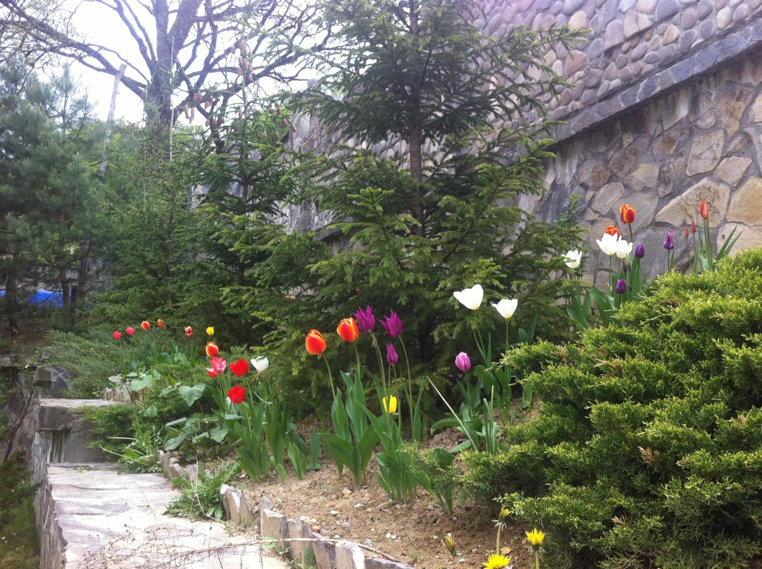 Photo 46