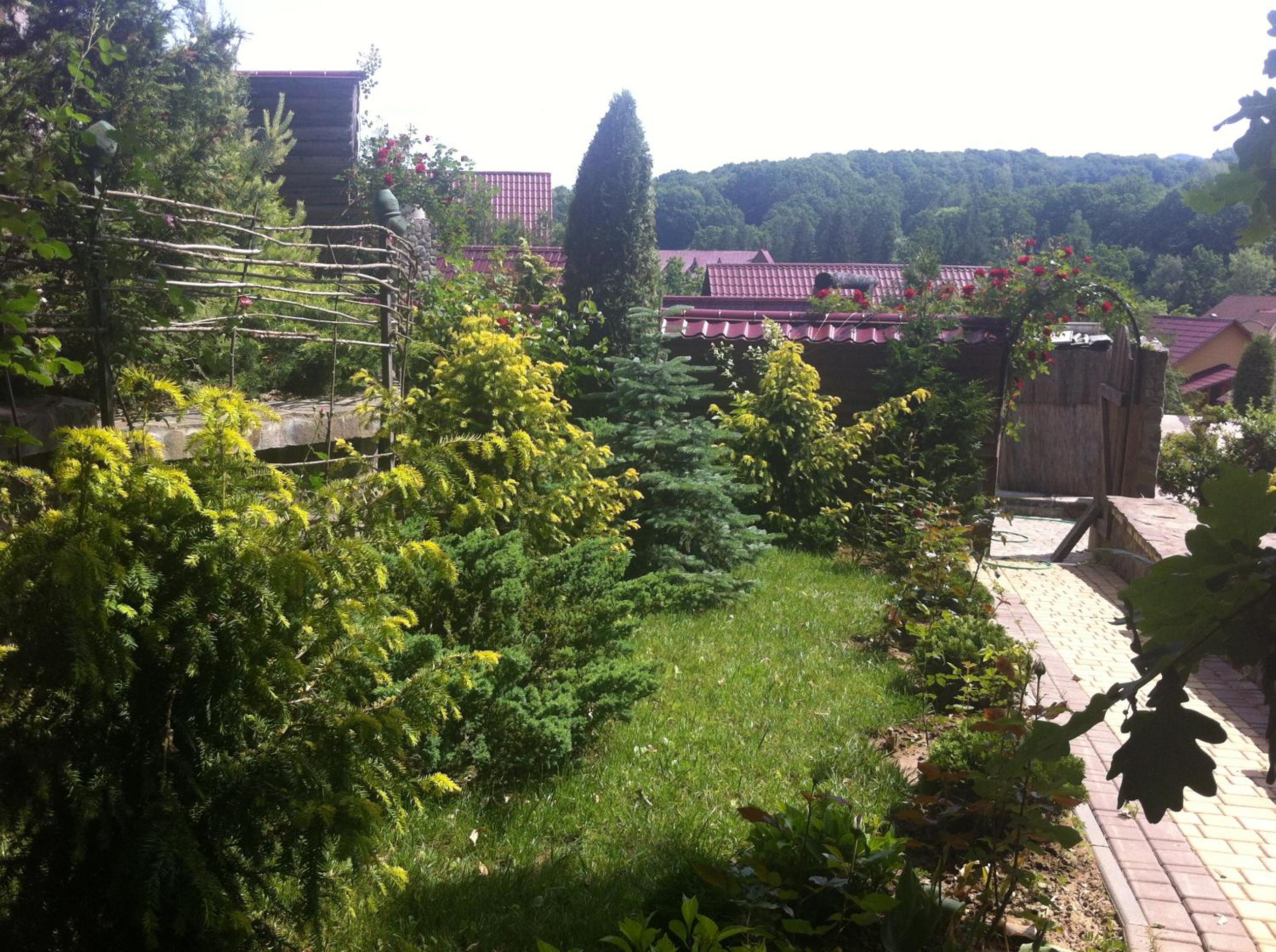 Photo 15
