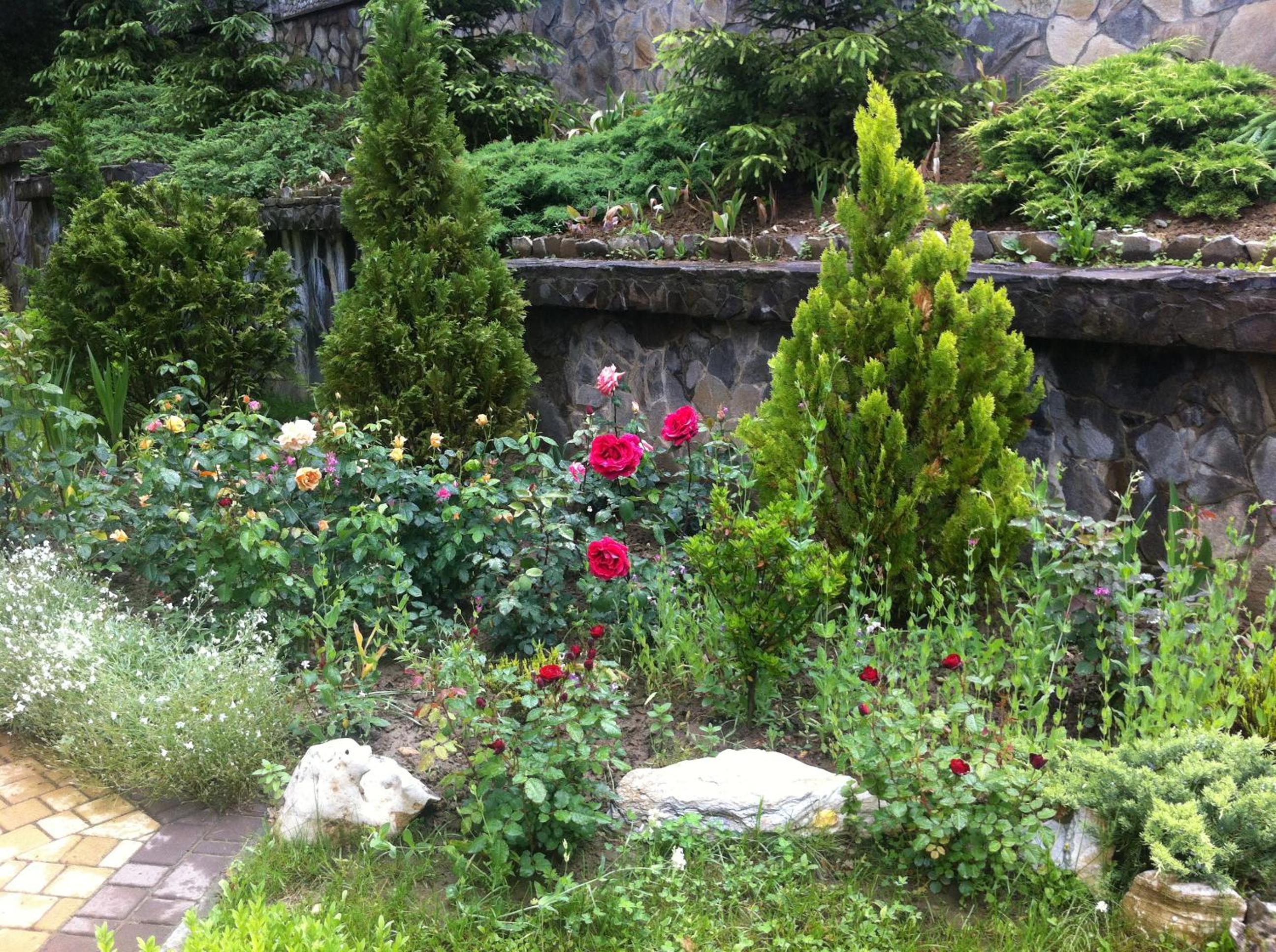 Photo 14