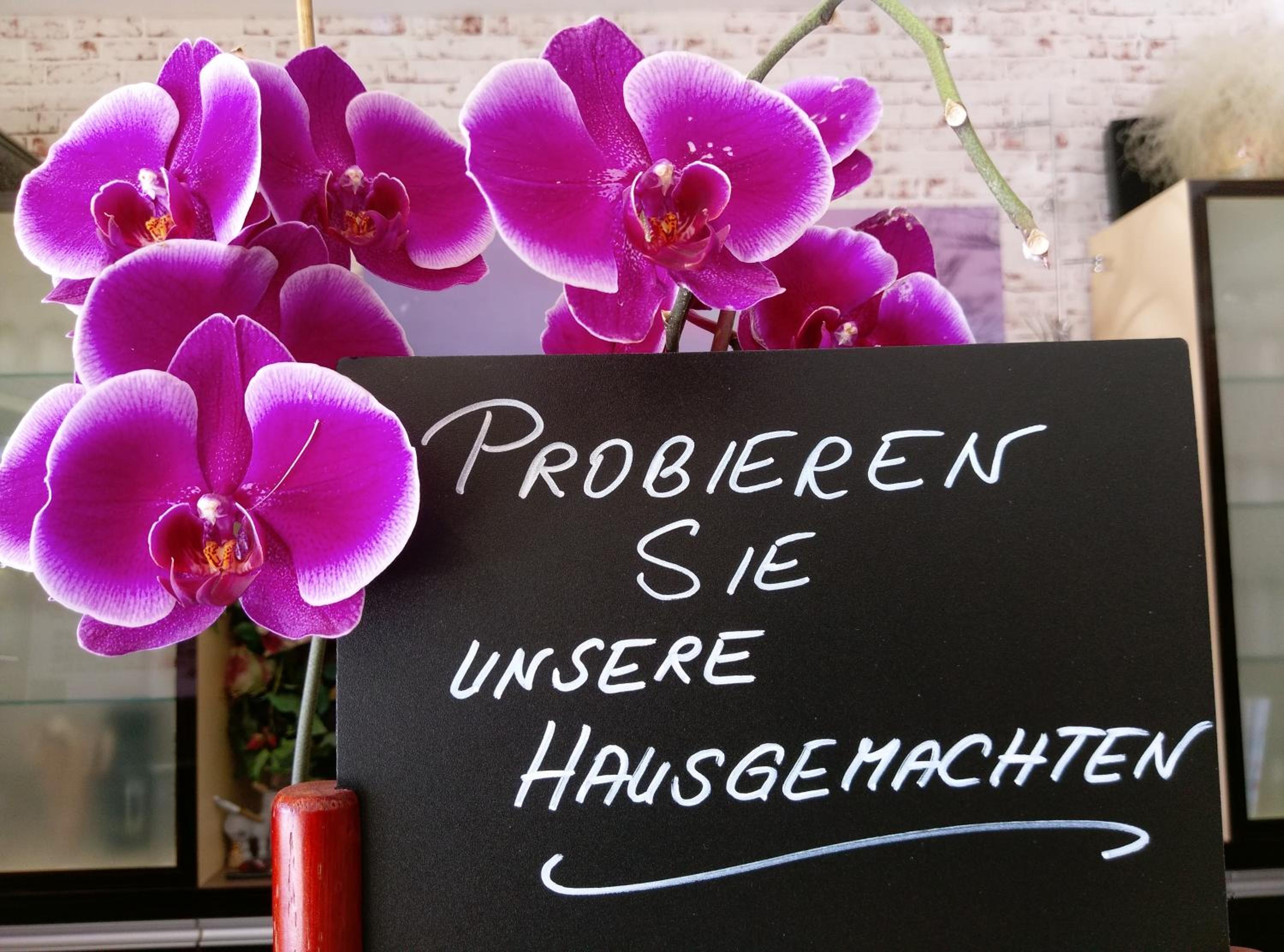 Altstadt Pension Orchidee