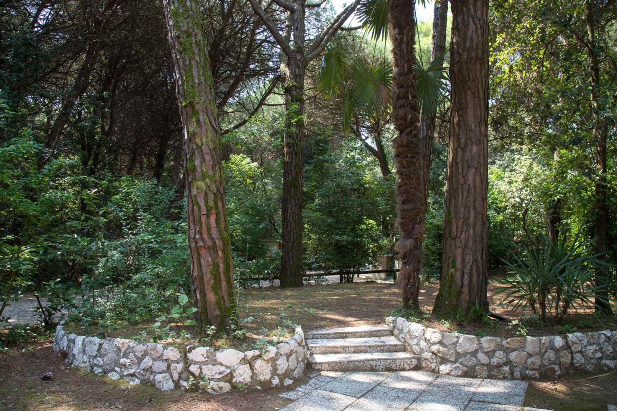 Pine-front bungalow steps from the beach