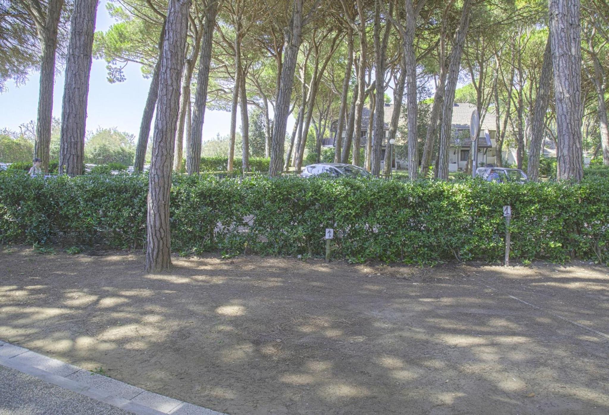 Apartment in pine forest near the beach