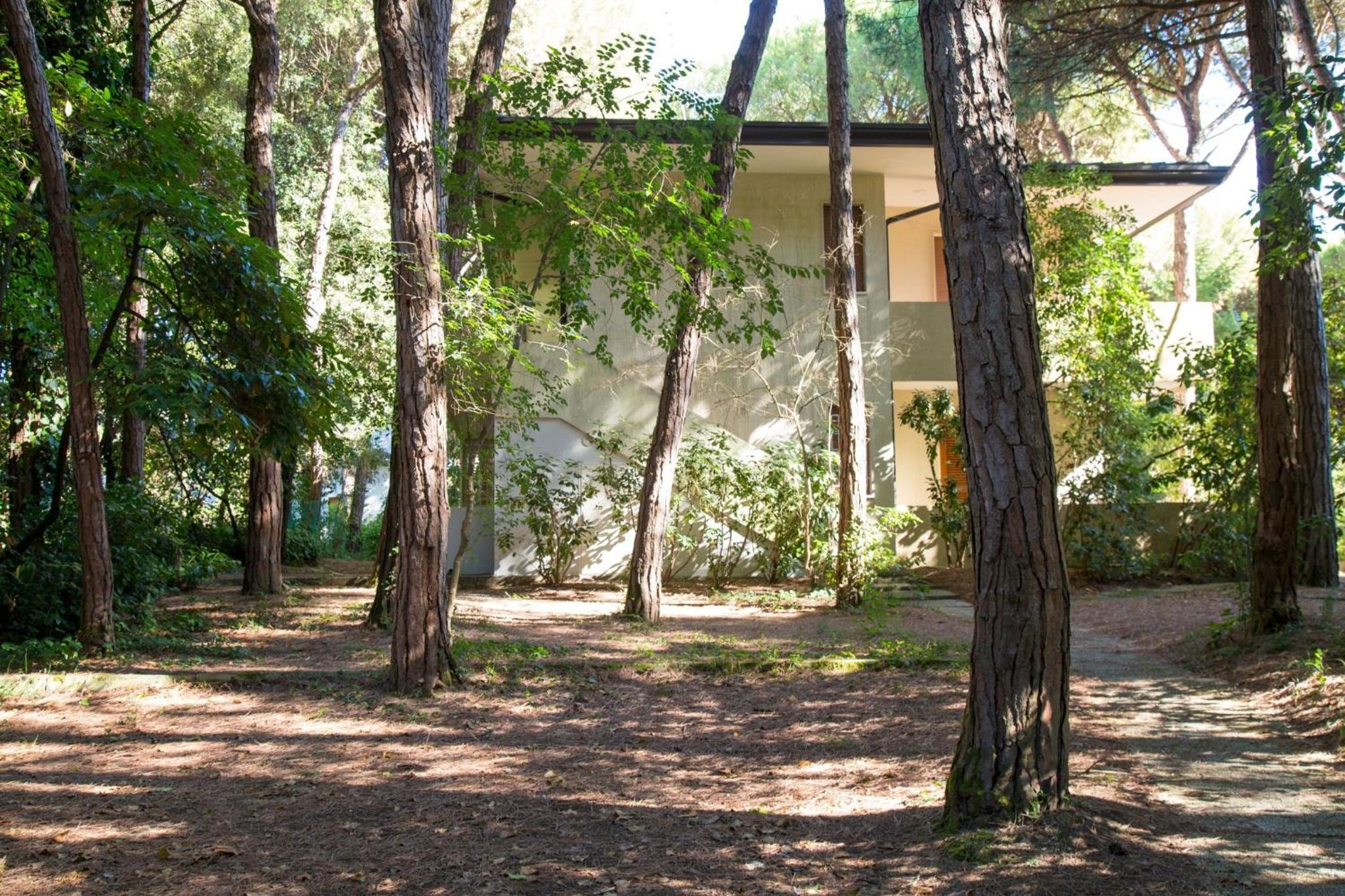 Terrace home by the pinewood