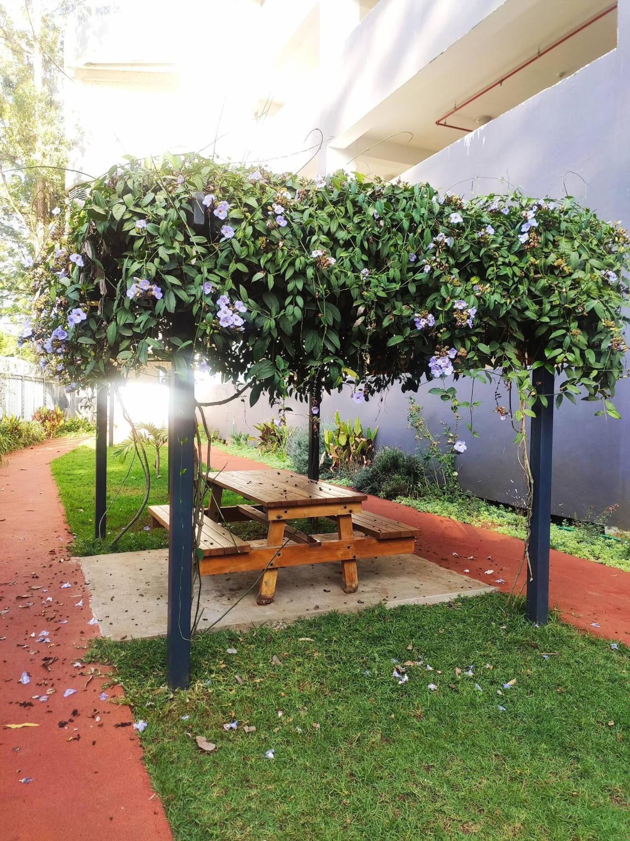 ishi Nairobi Modern Business Apartment