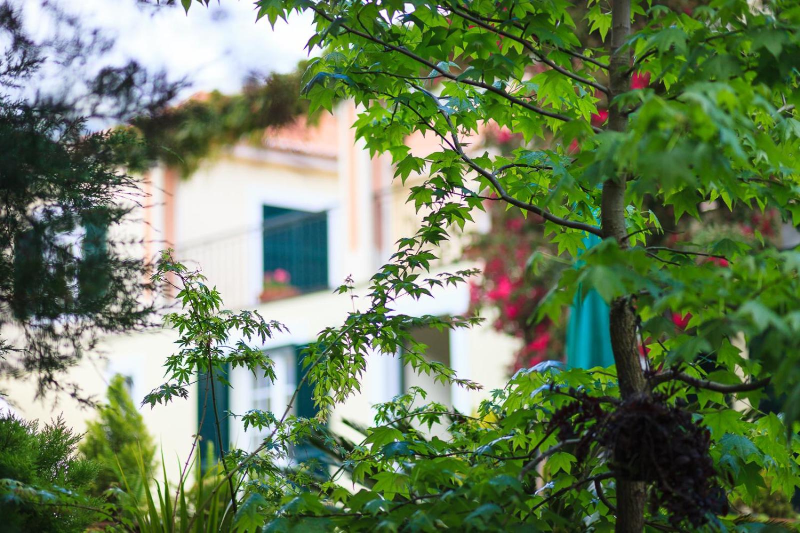 Hotel Casa da Portada - Image 1