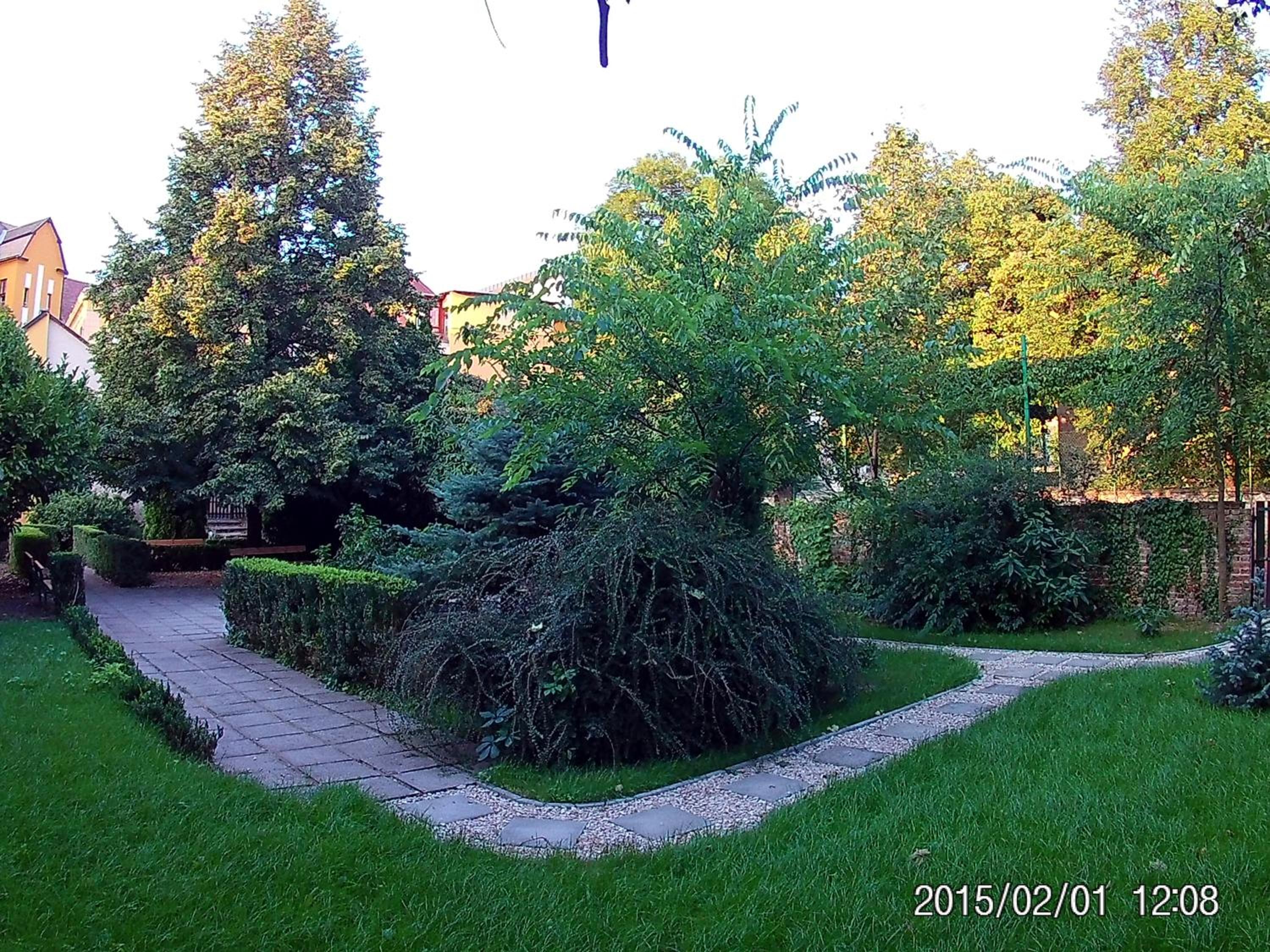 Photo 73