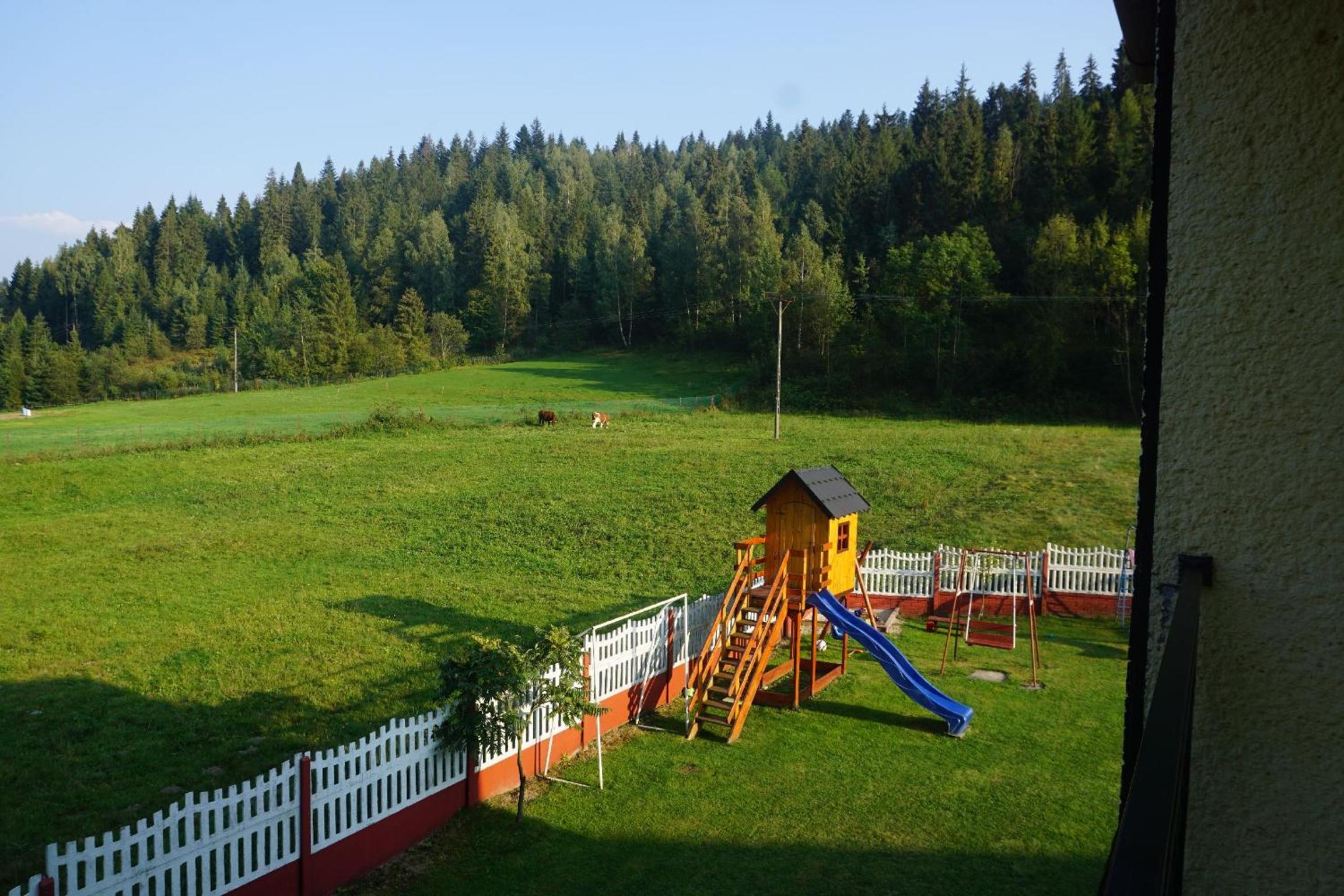 Photo 45