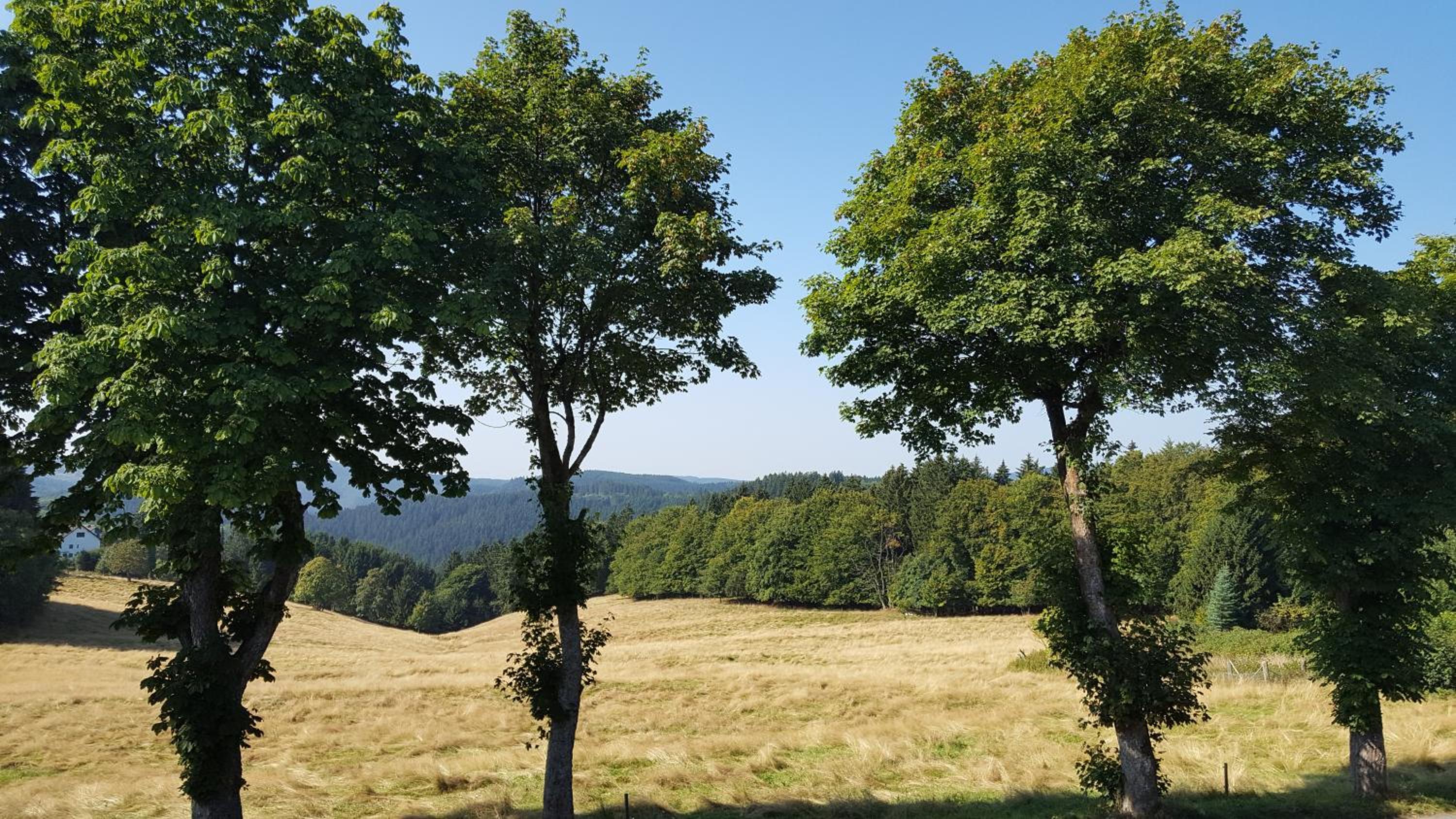 Hotel Pension Fernblick