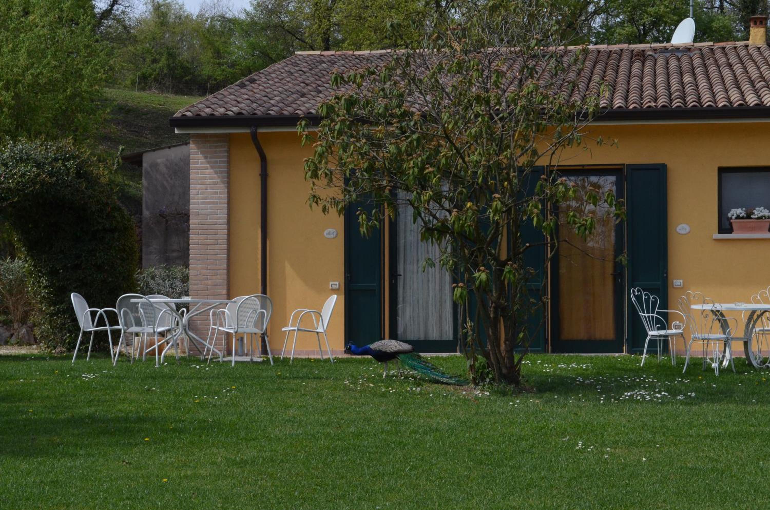 Photo 21