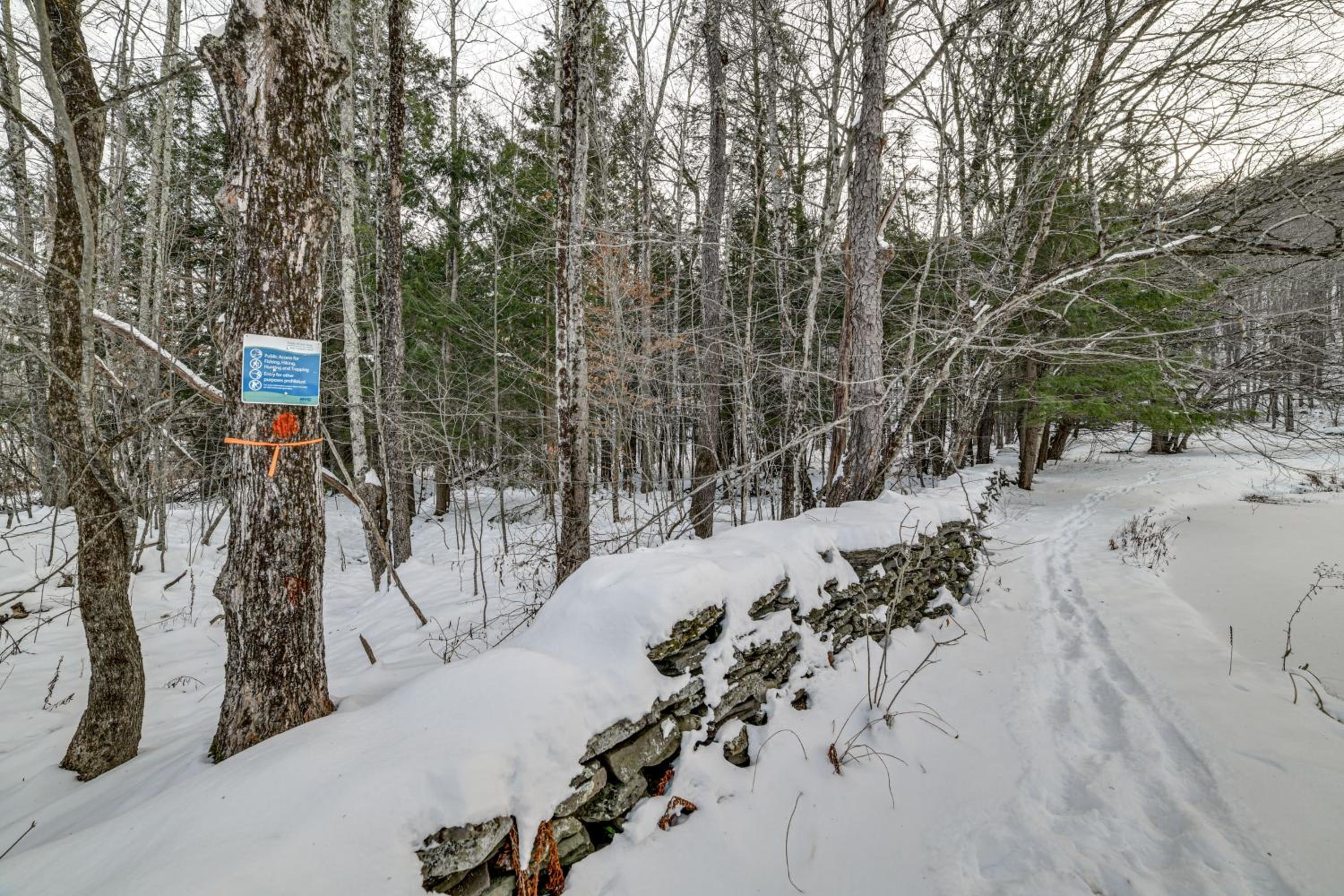 Family Cabin Near Bellayre and Plattekill Mtns!