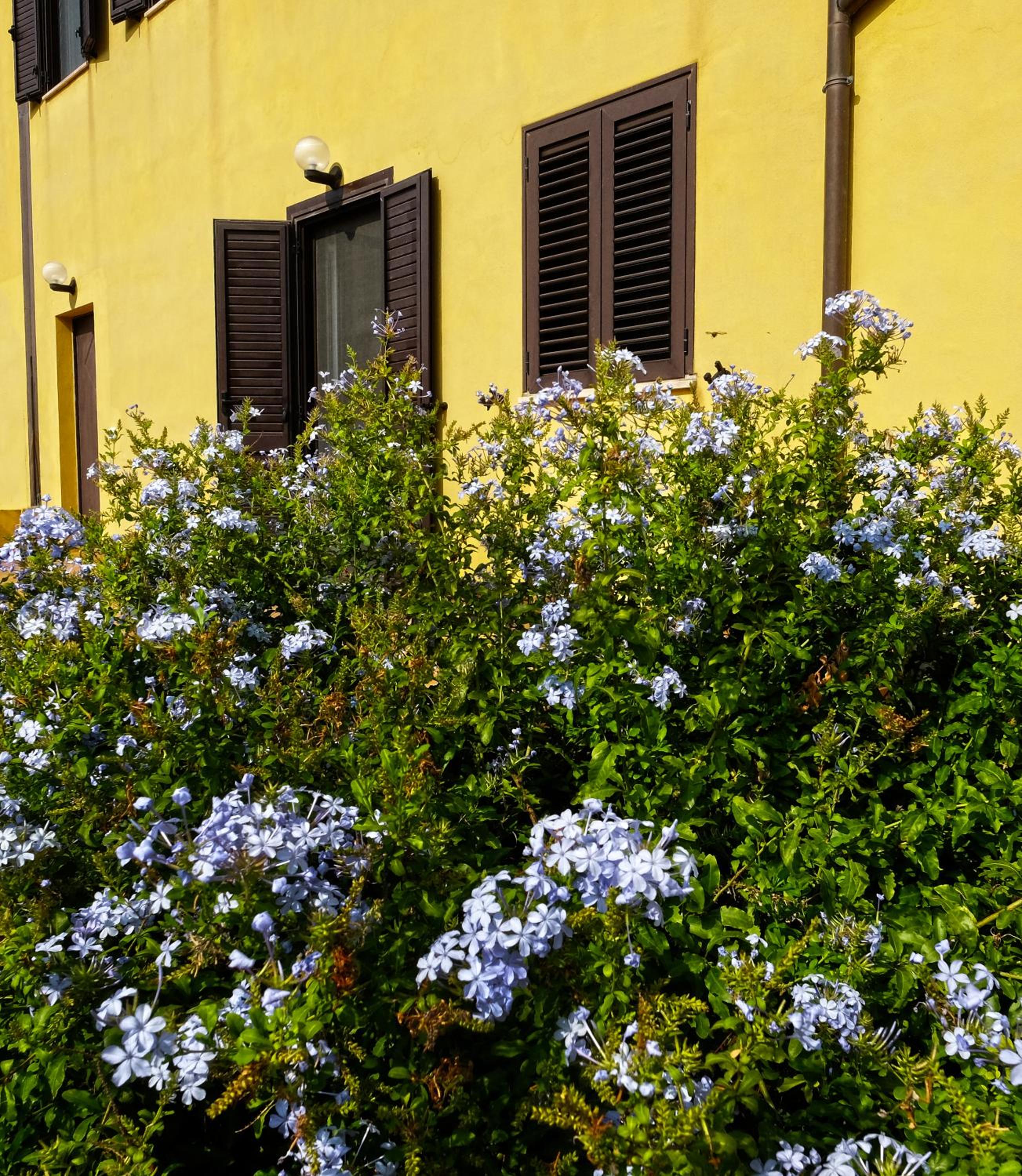 Vistazzurra B&B