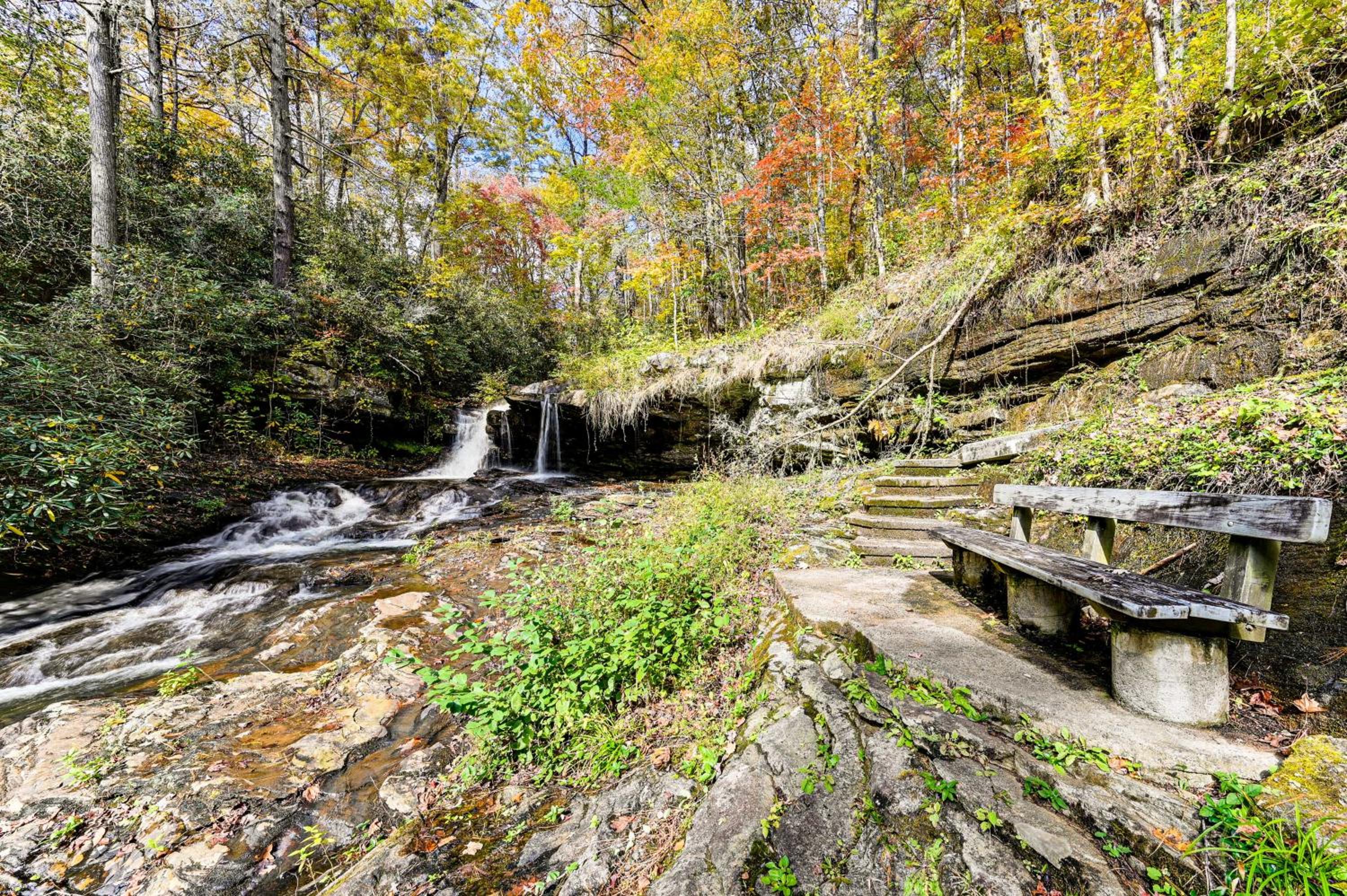 Relax Creekside Forest-View Gem in Marietta!