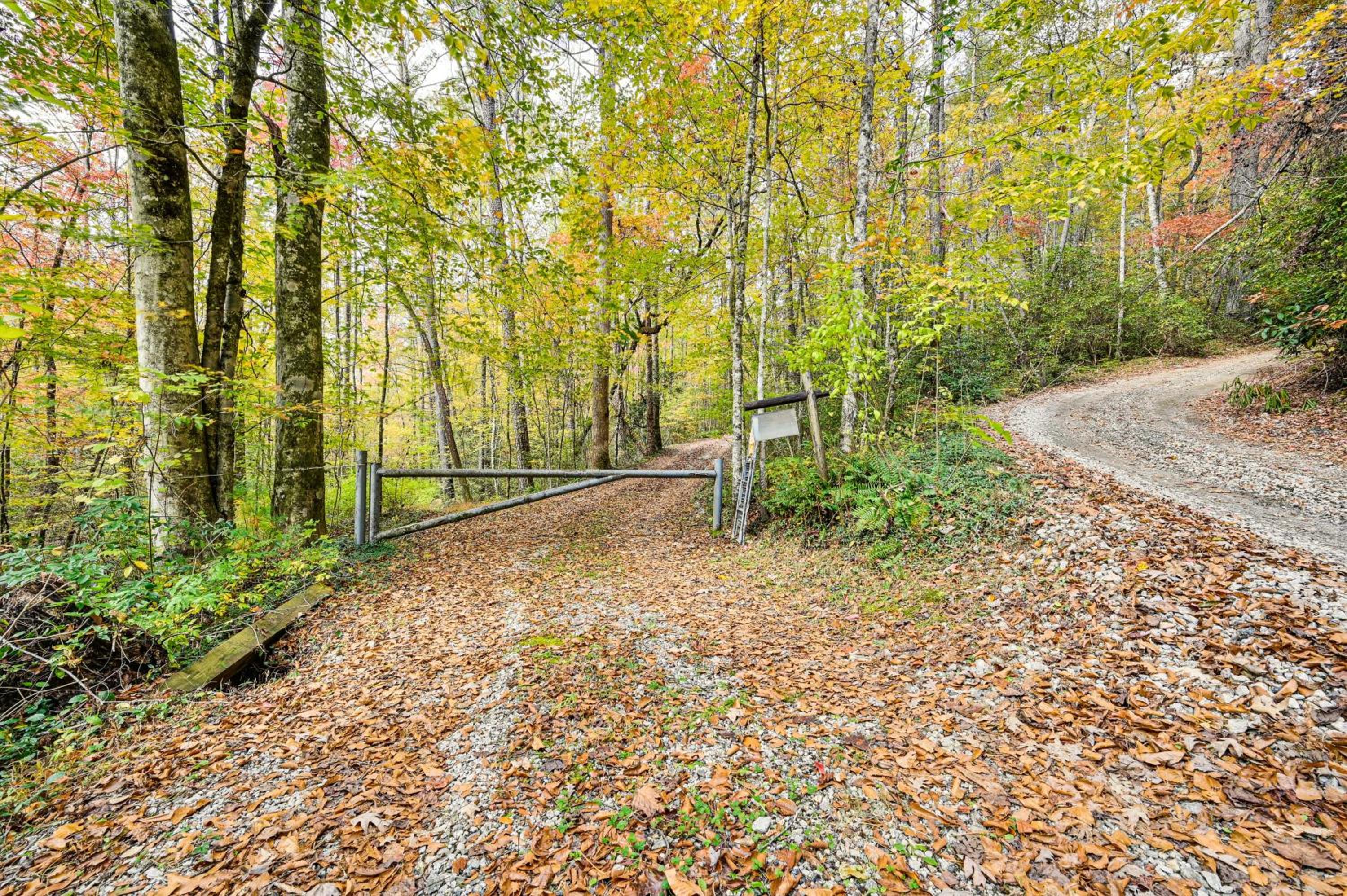 Relax Creekside Forest-View Gem in Marietta!