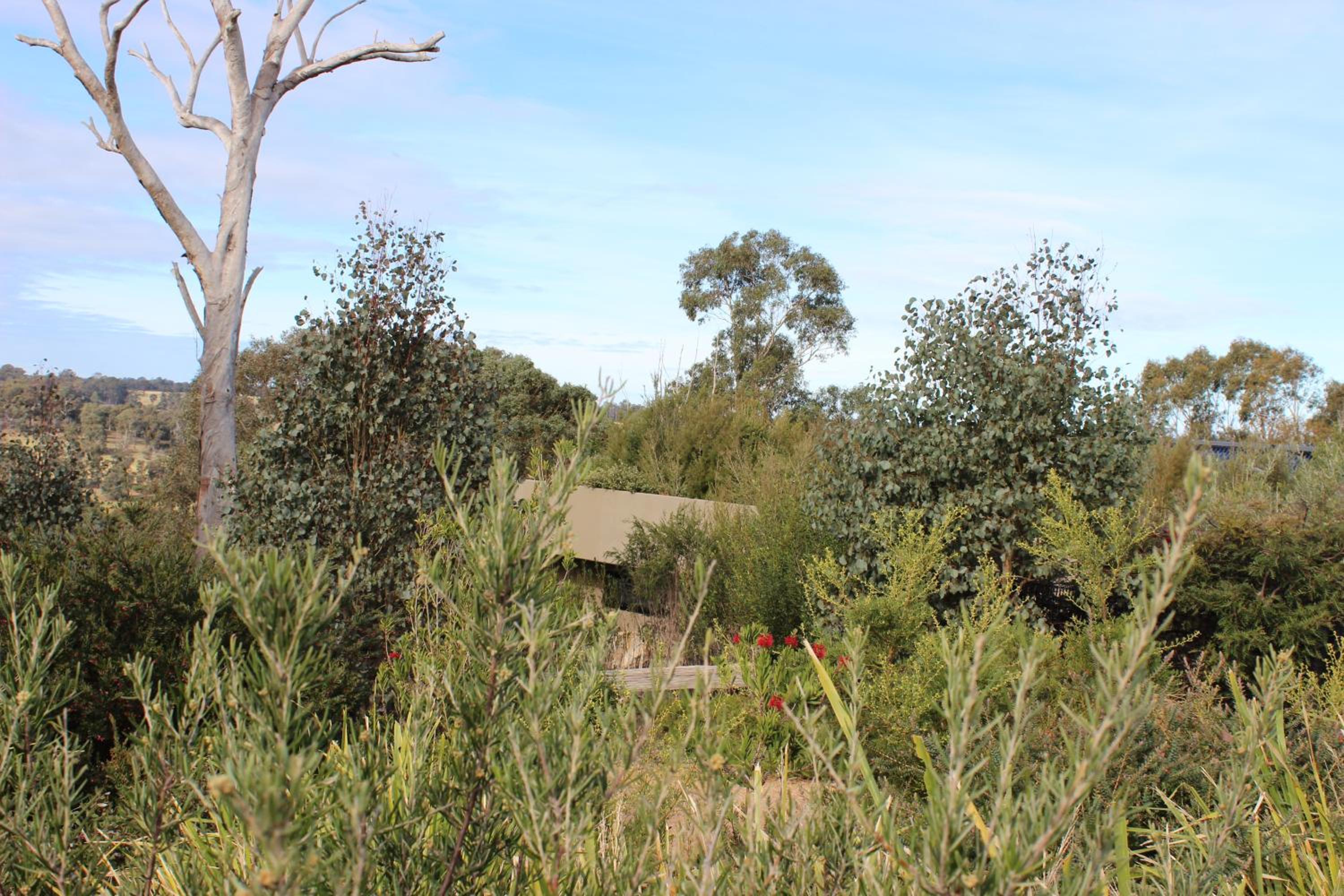 Down to Earth Farm Retreat