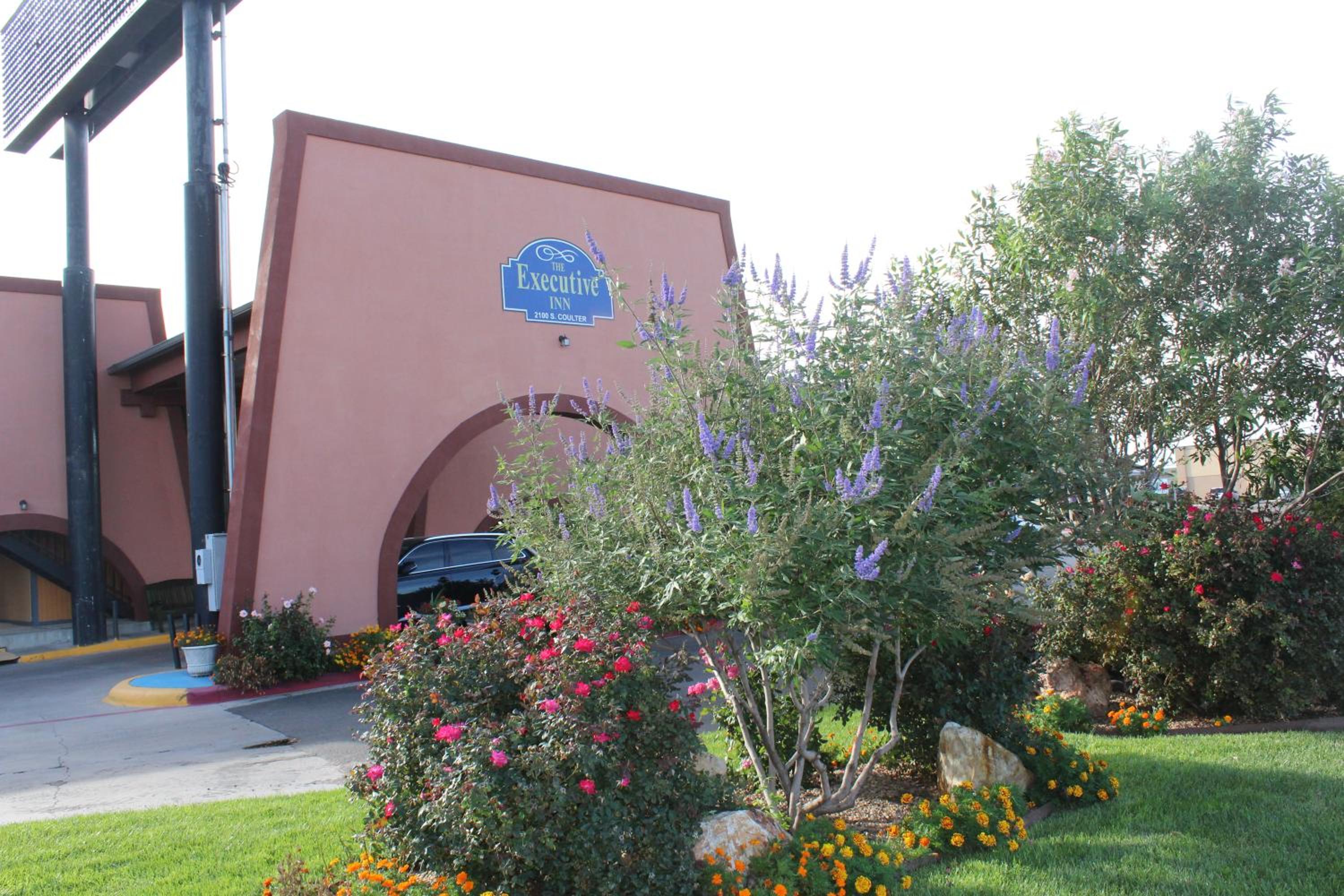 The Executive Inn & Suites view 5