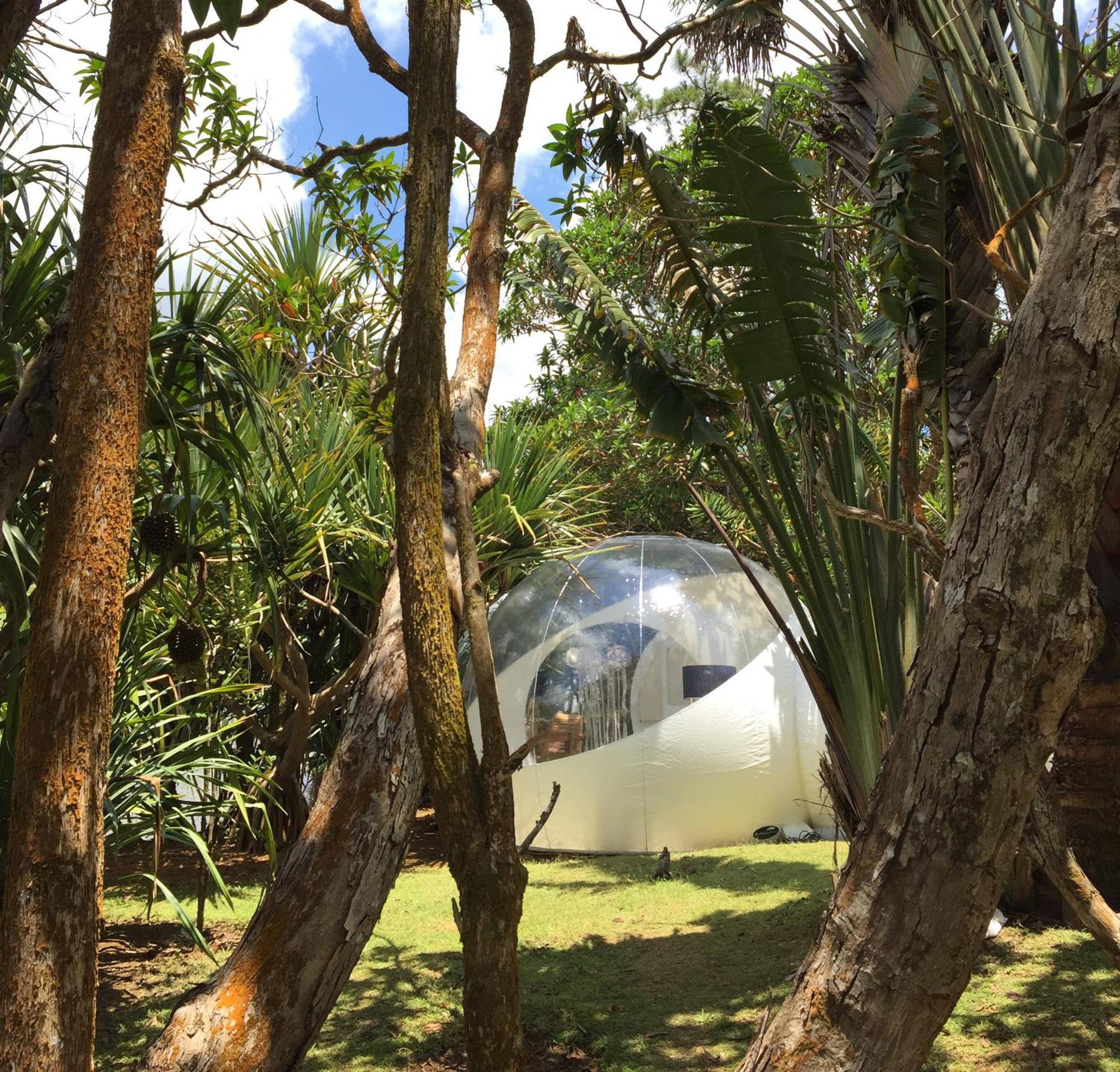 Bubble Lodge Bois Chéri Plantation