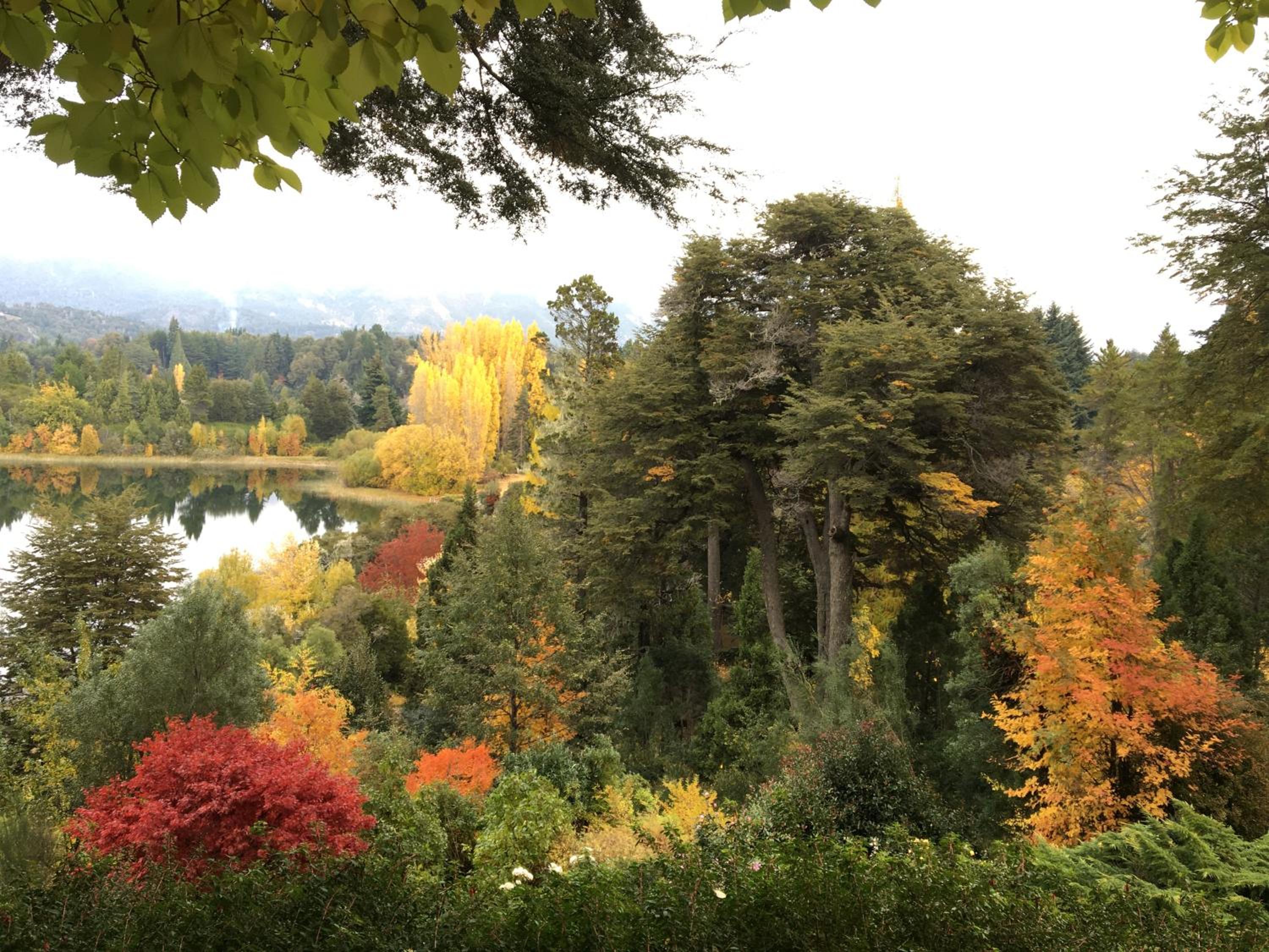 Bellevue