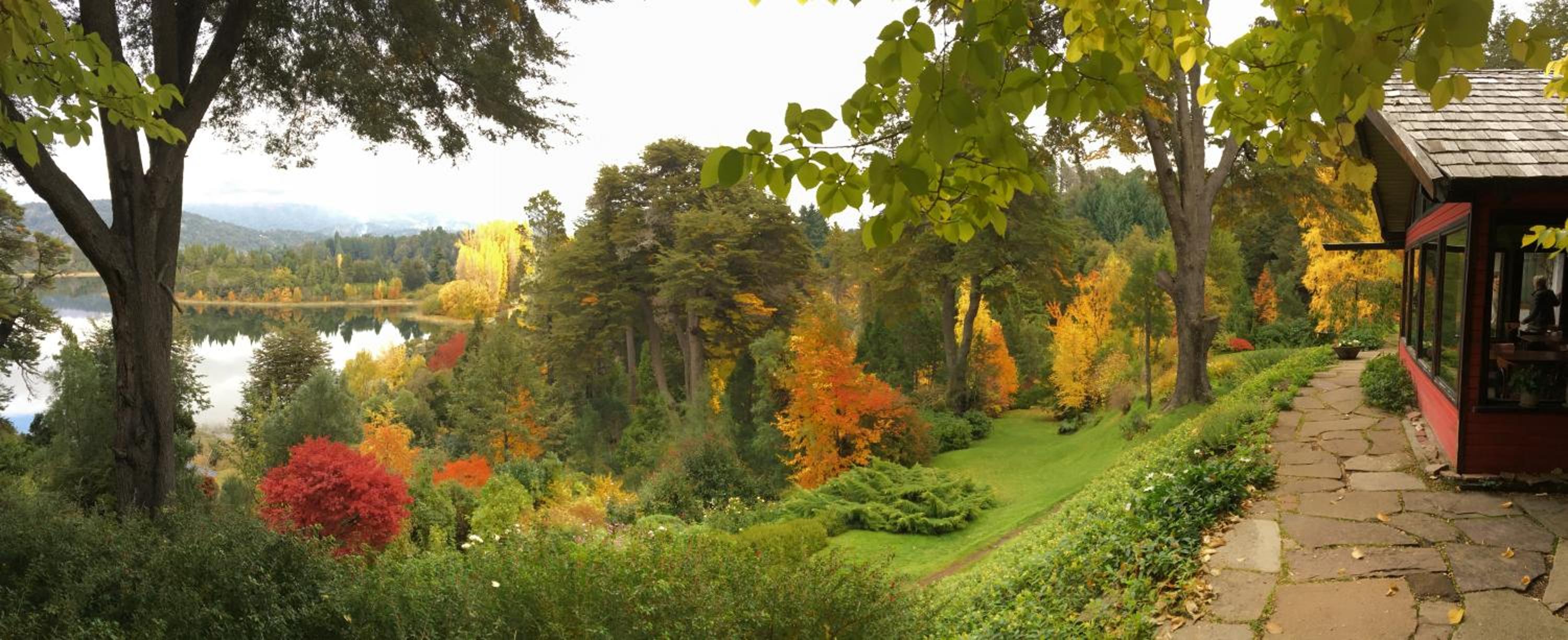 Bellevue