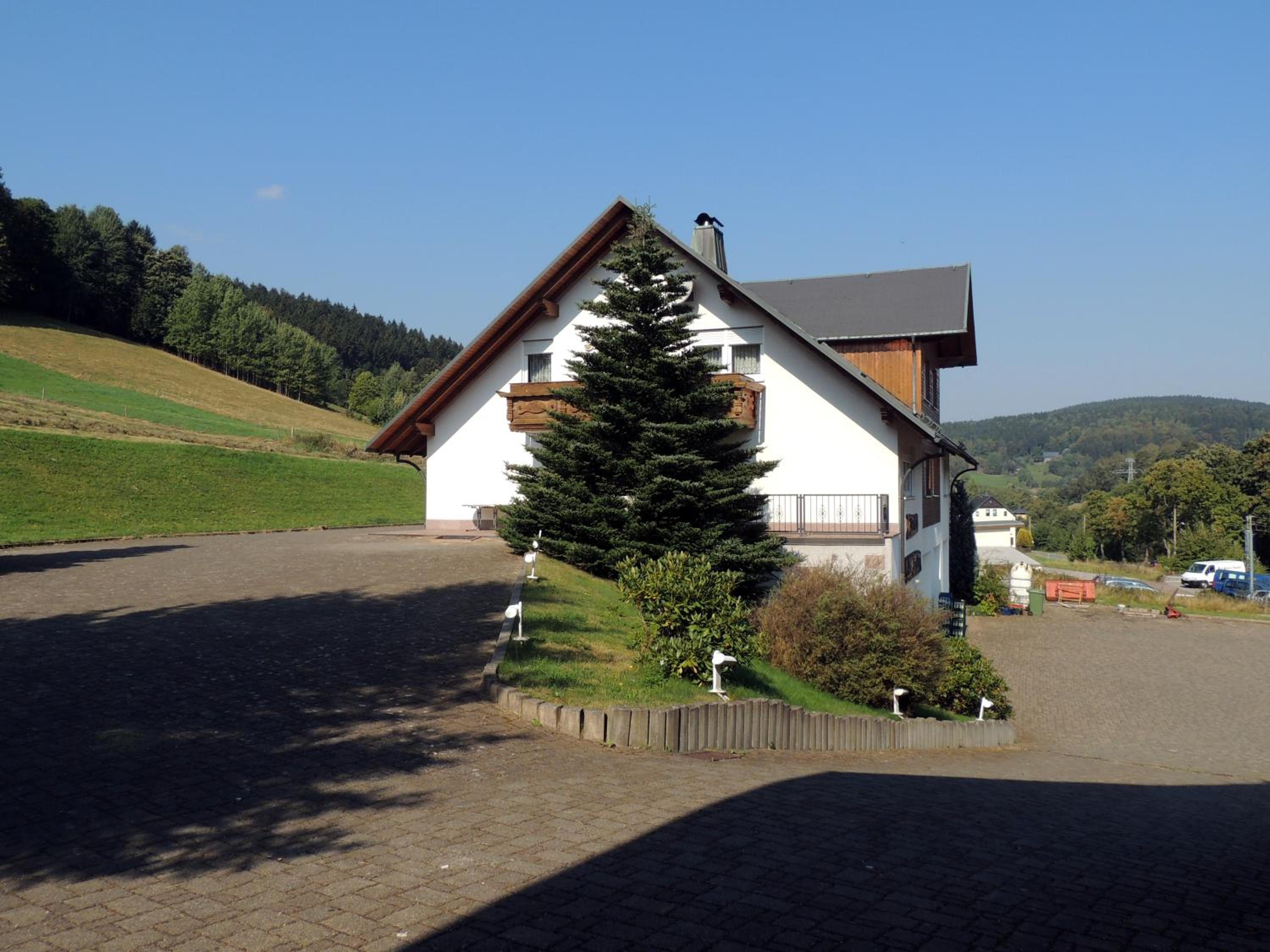 Photo 8