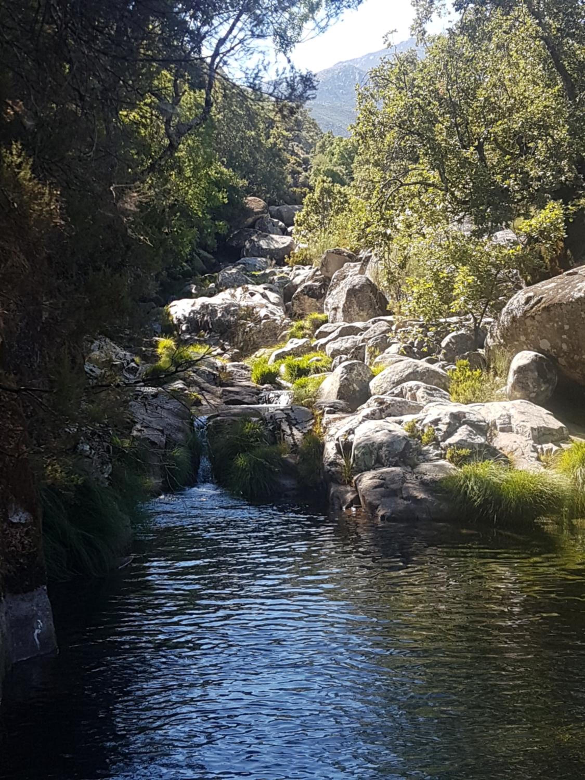 El Atalanto