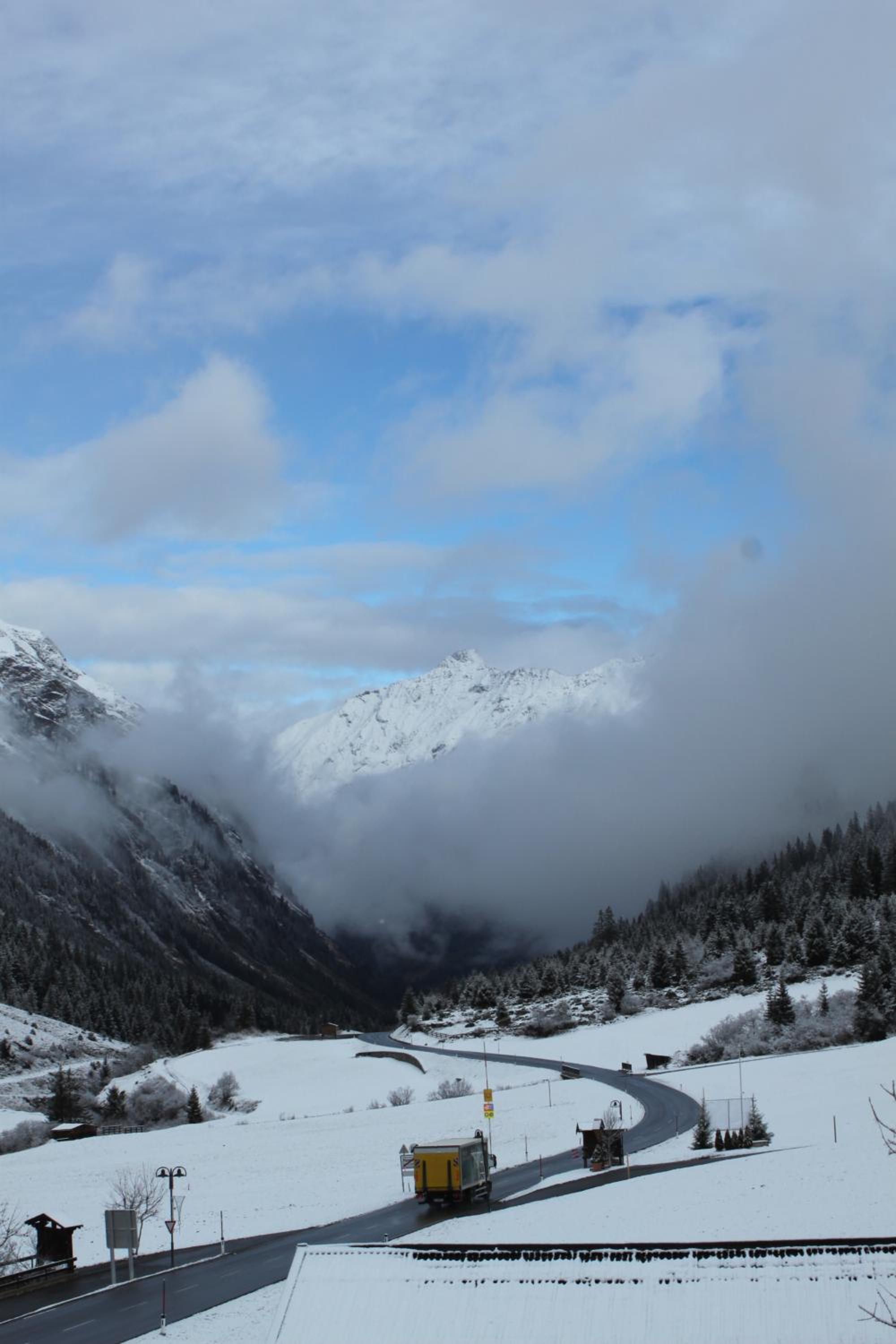 Ferienhaus Alpen Lodge und die Gams