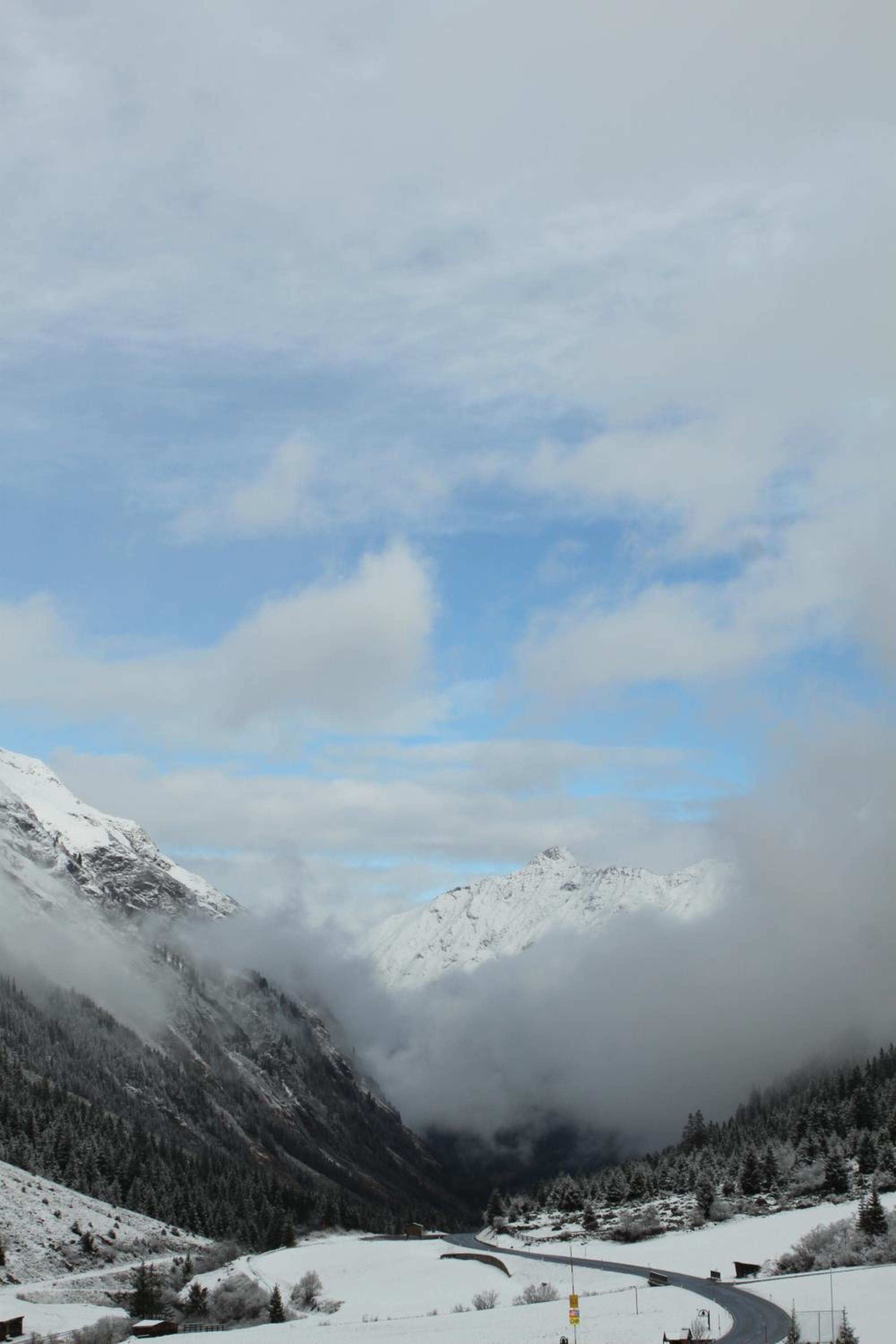 Ferienhaus Alpen Lodge und die Gams