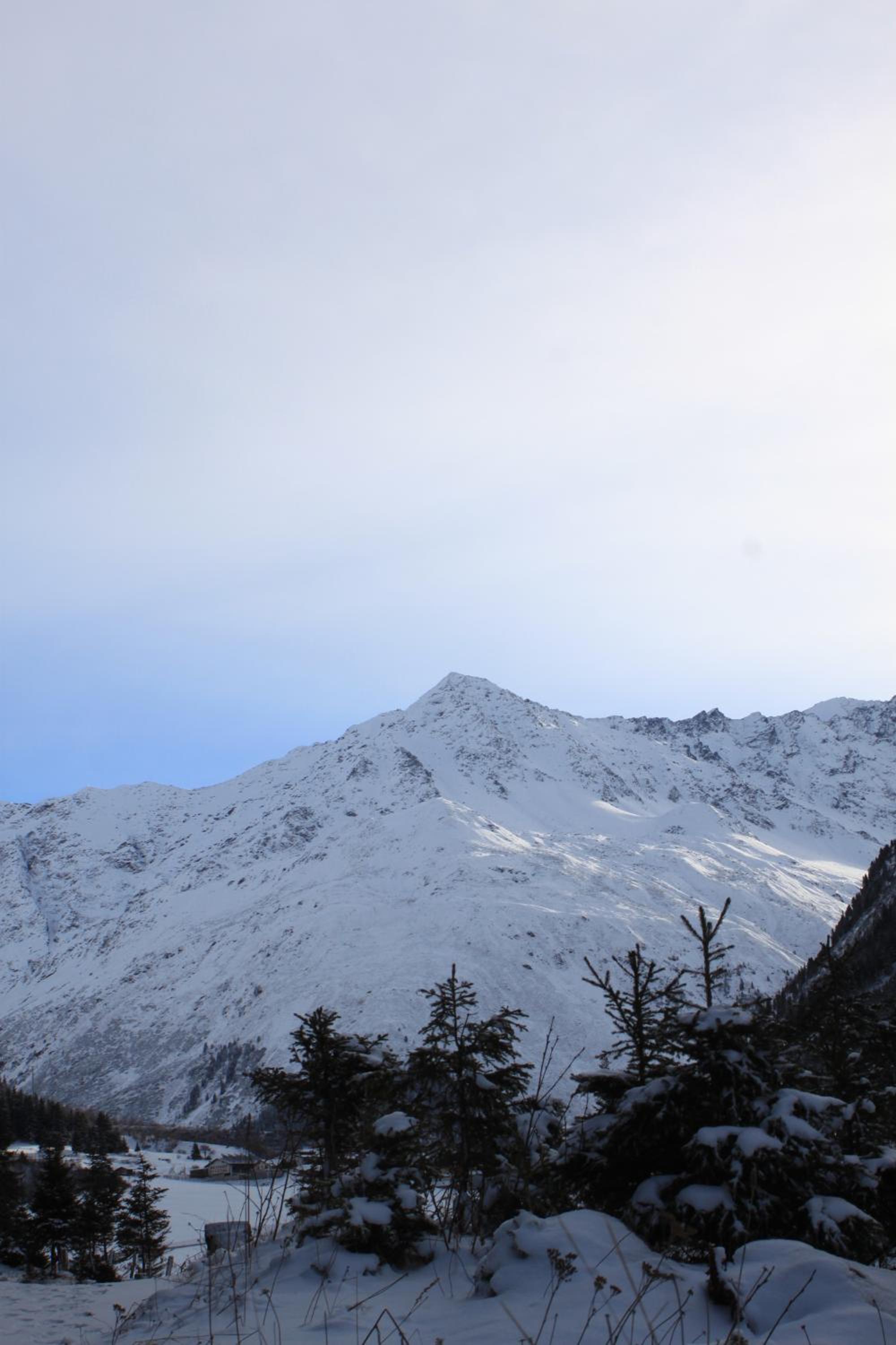 Ferienhaus Alpen Lodge und die Gams