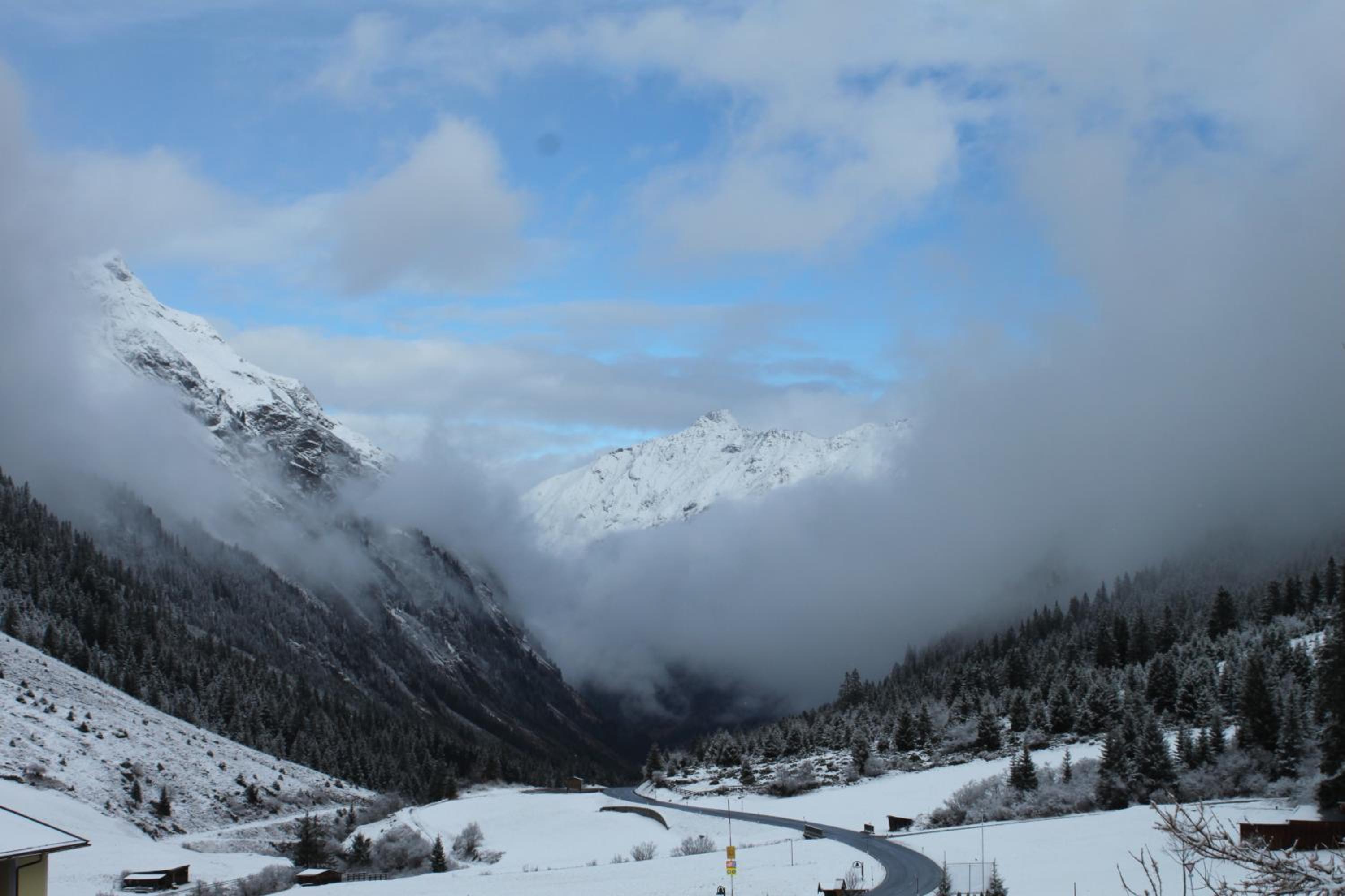 Ferienhaus Alpen Lodge und die Gams