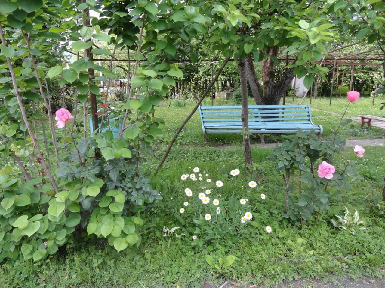 Photo 27