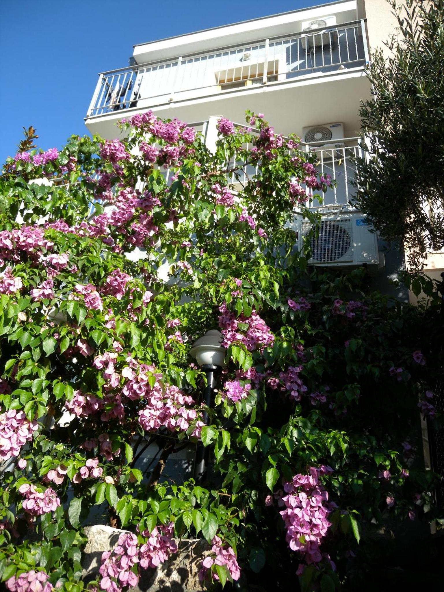 Apartments Markovic Sutomore