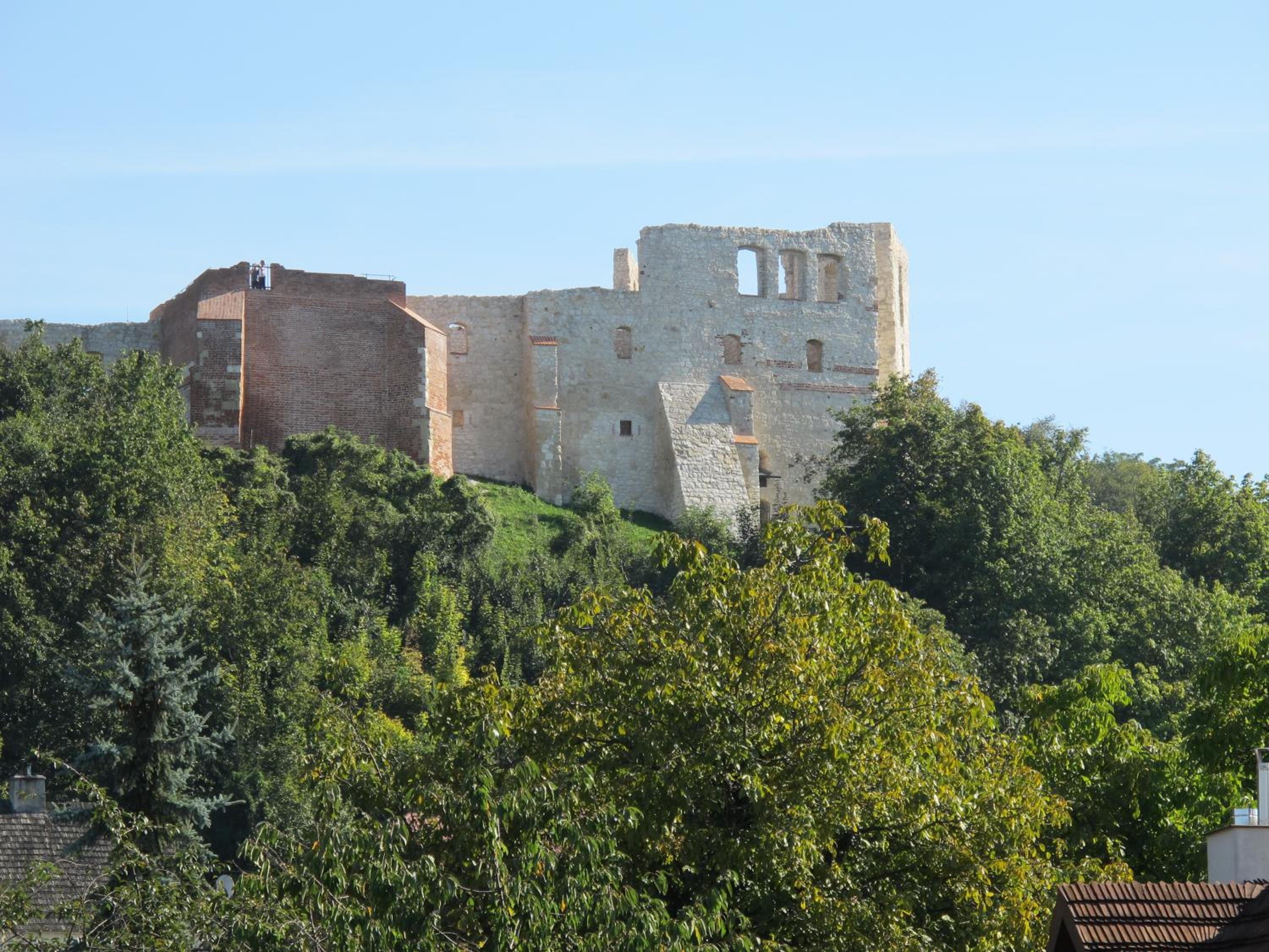 Photo 20