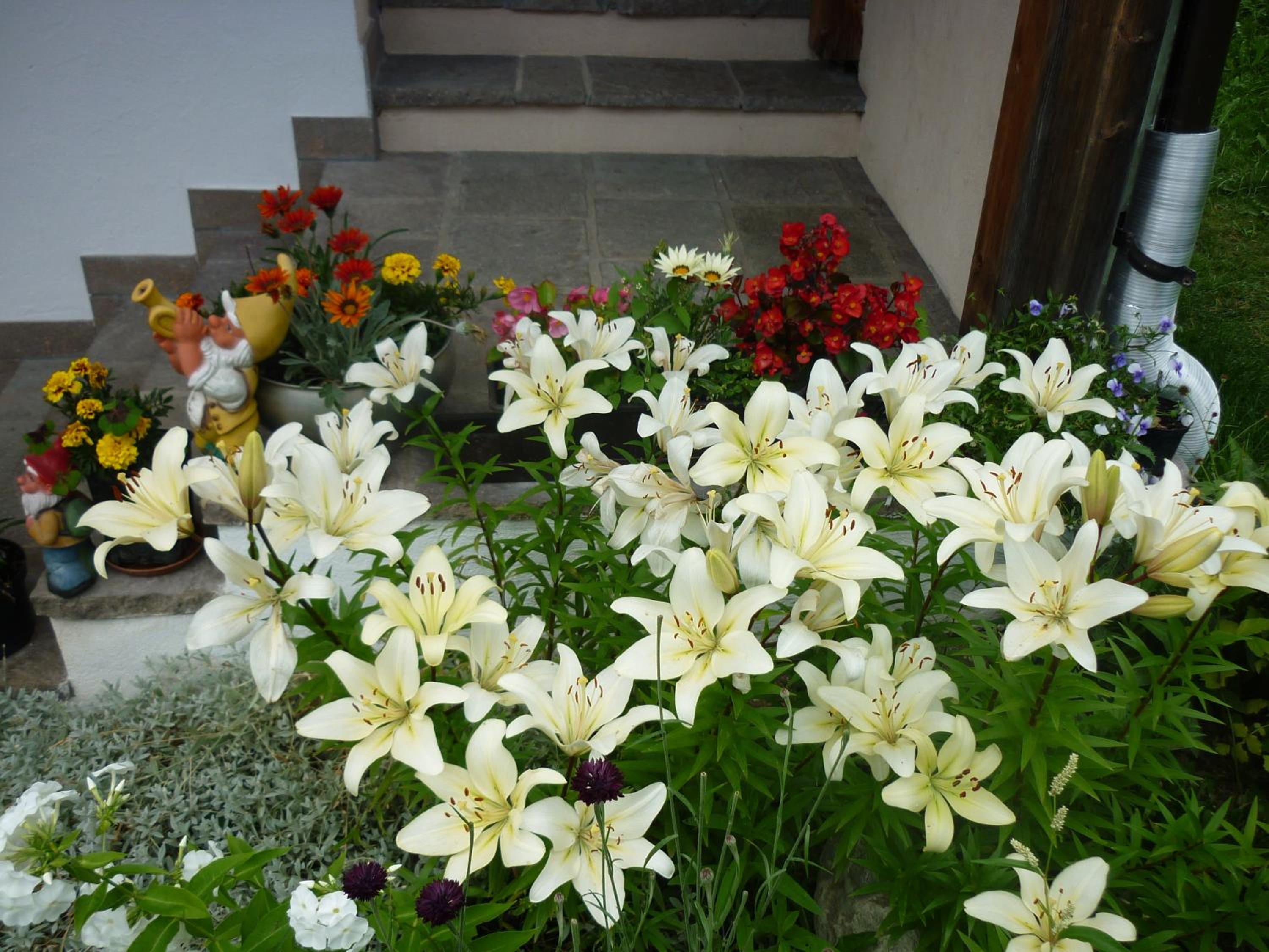 Photo 40