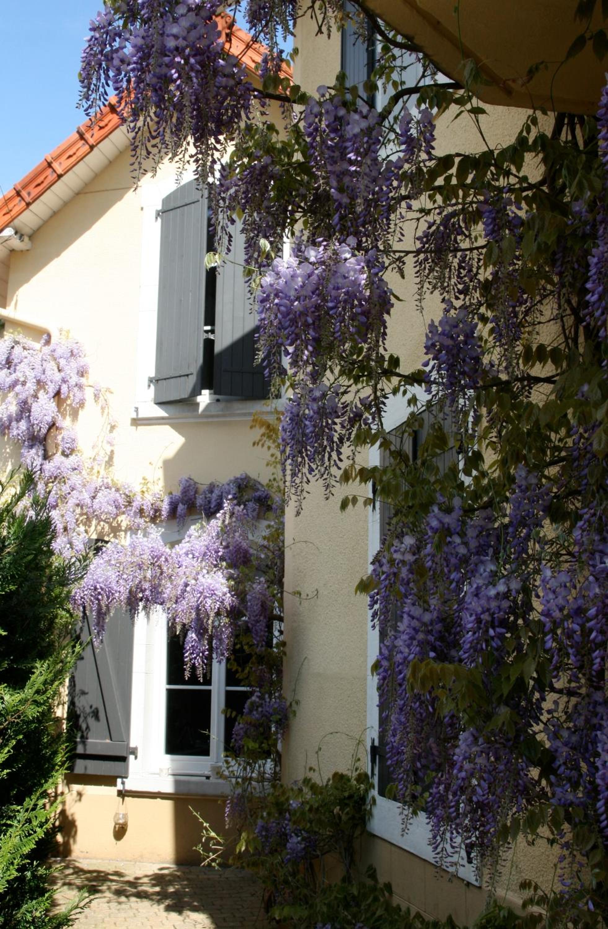 Chambre d'Hôtes La Villa Molina