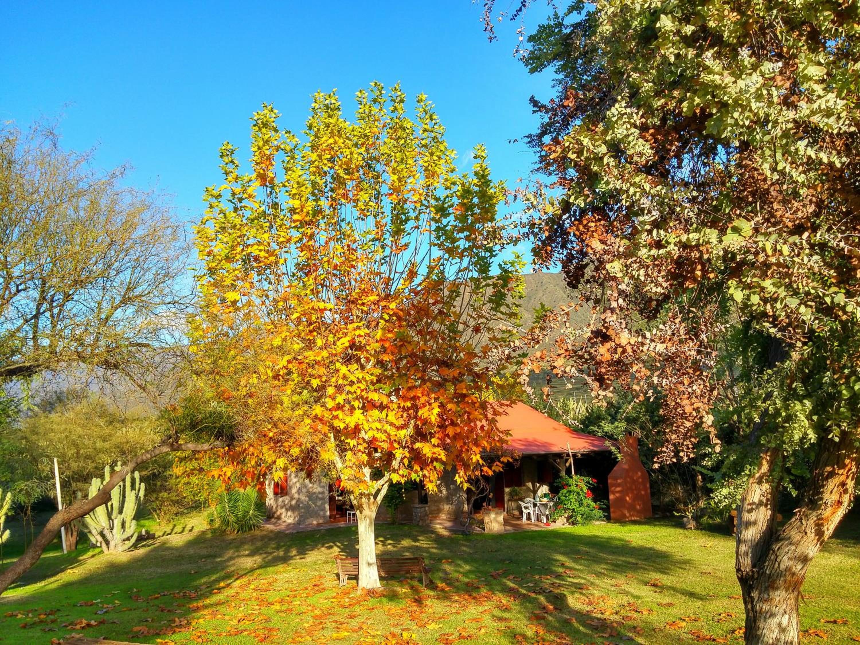 Photo 14