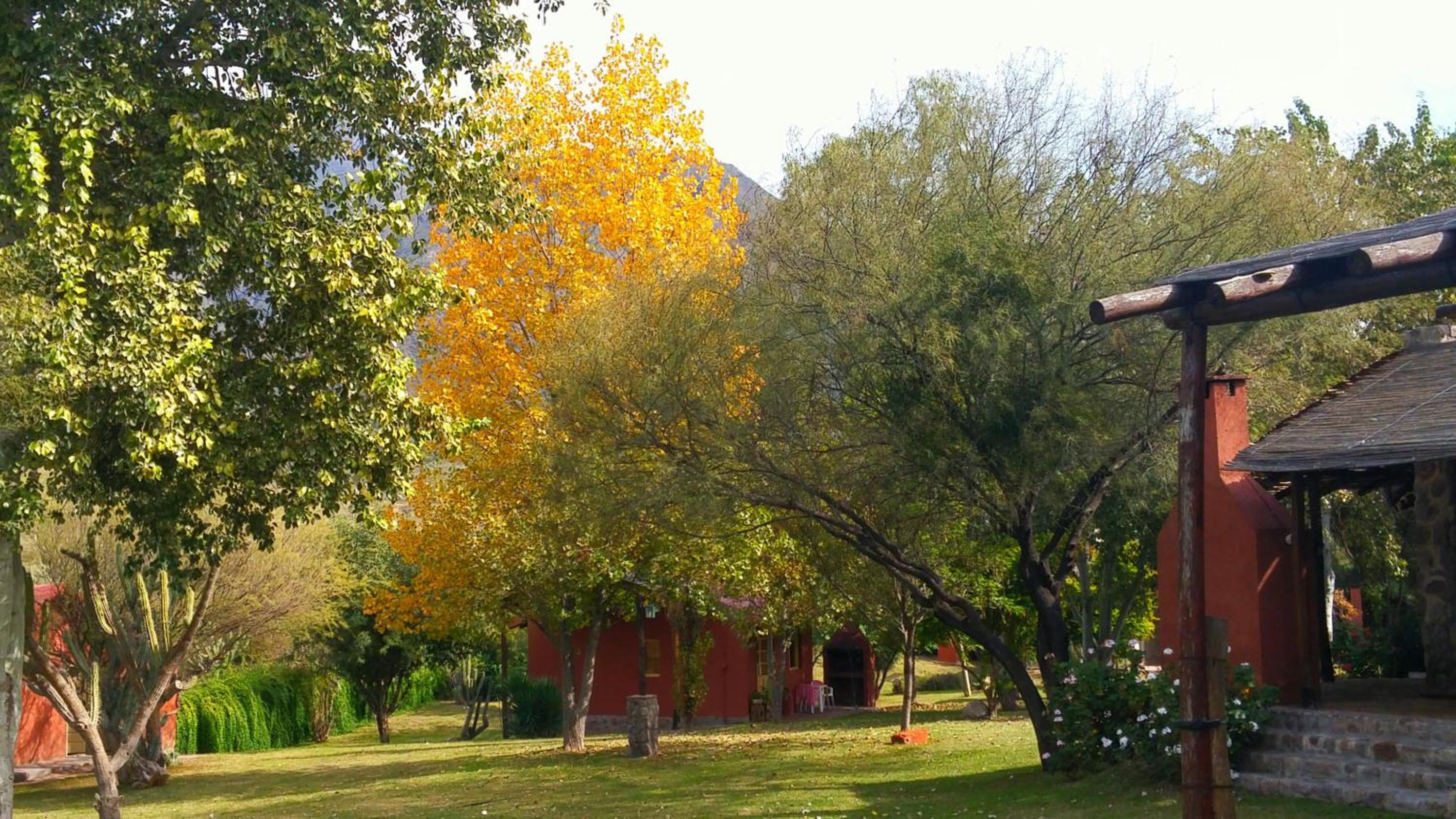 Photo 48