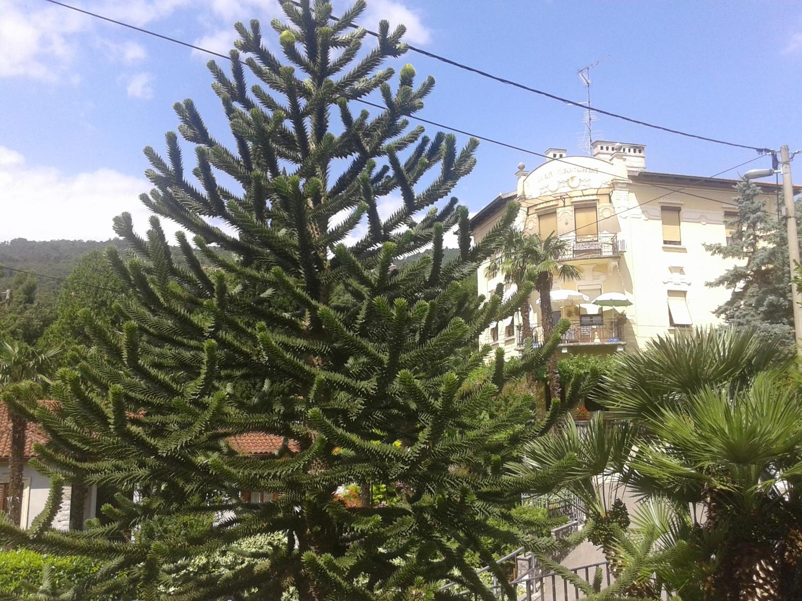 Photo 29