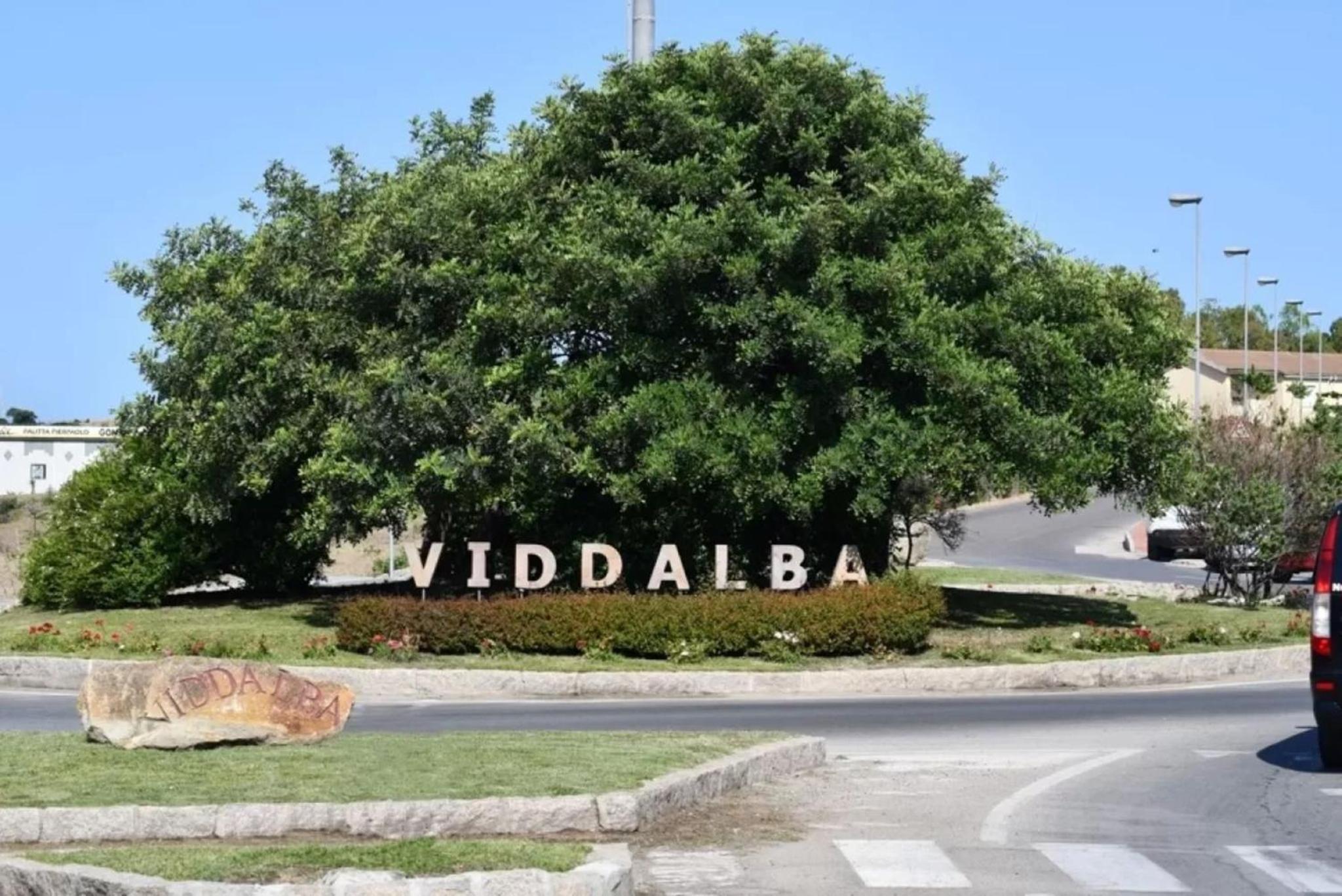 Relaxing flat with shared pool in Viddalba