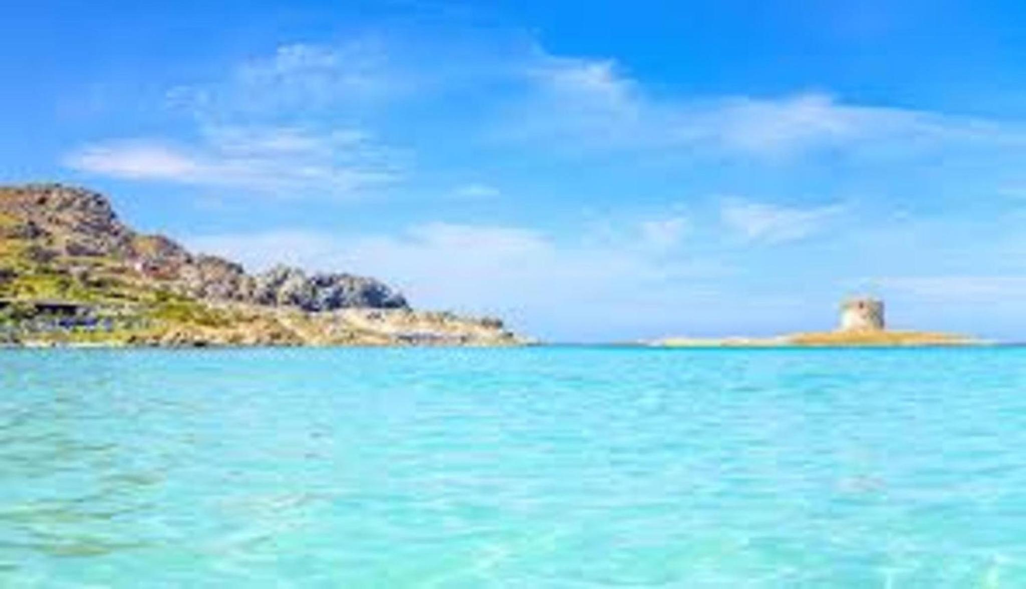 Comfortable apartment near Stintino beaches