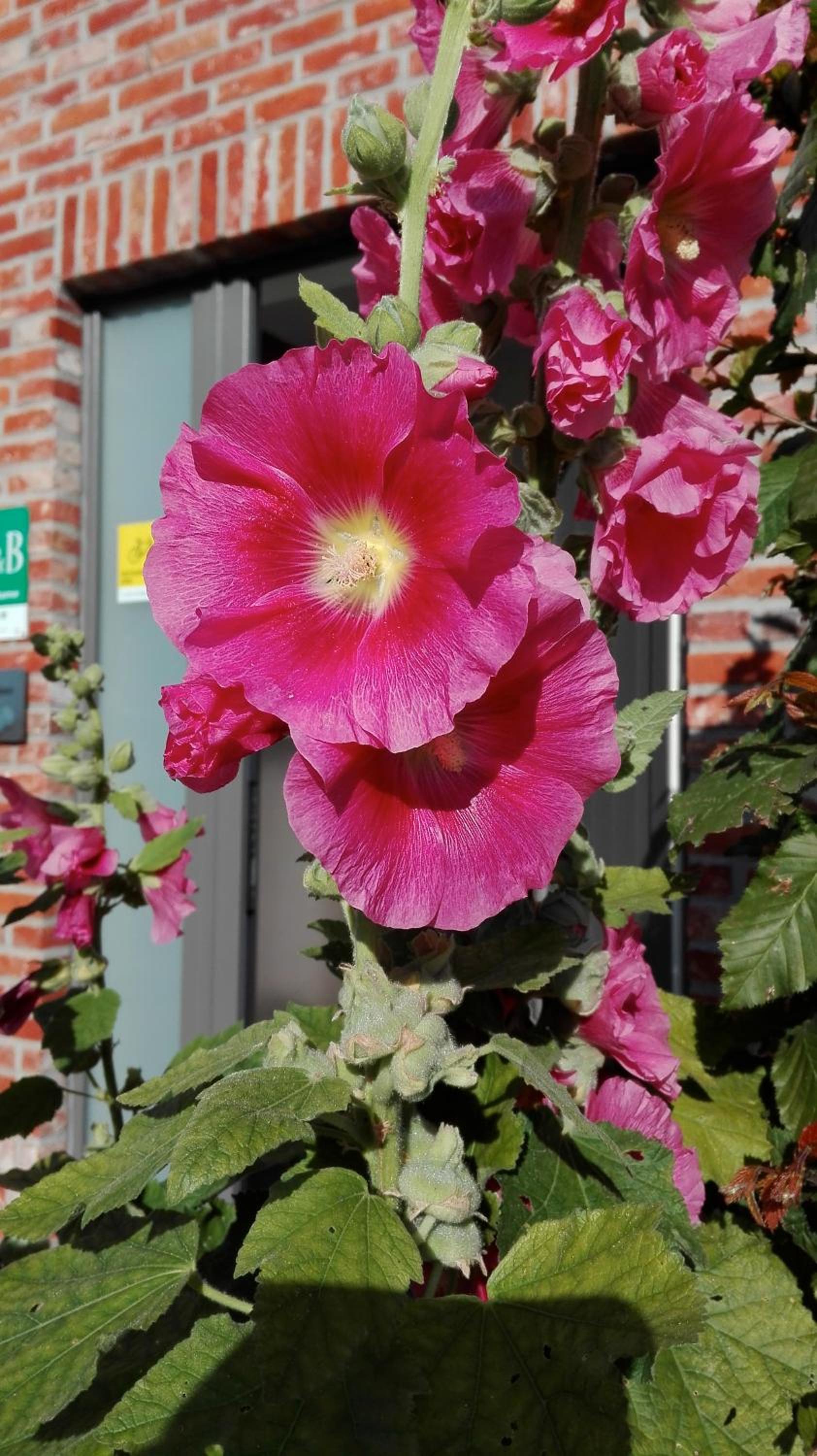 B&B De Grote Plaats